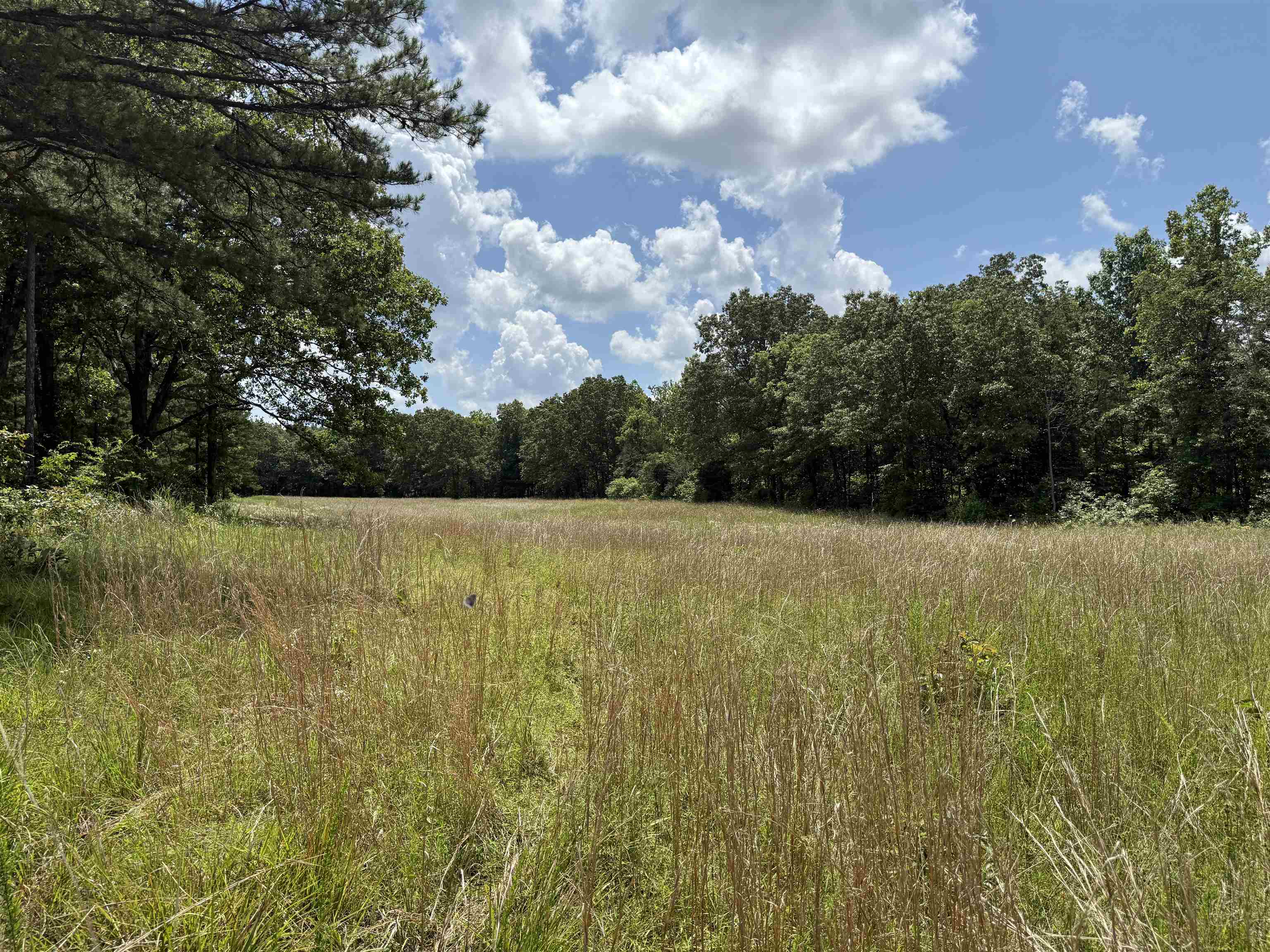 Photo 20 - Residential for sale – 2061A  Chapel Hill Road   Brockwell, AR