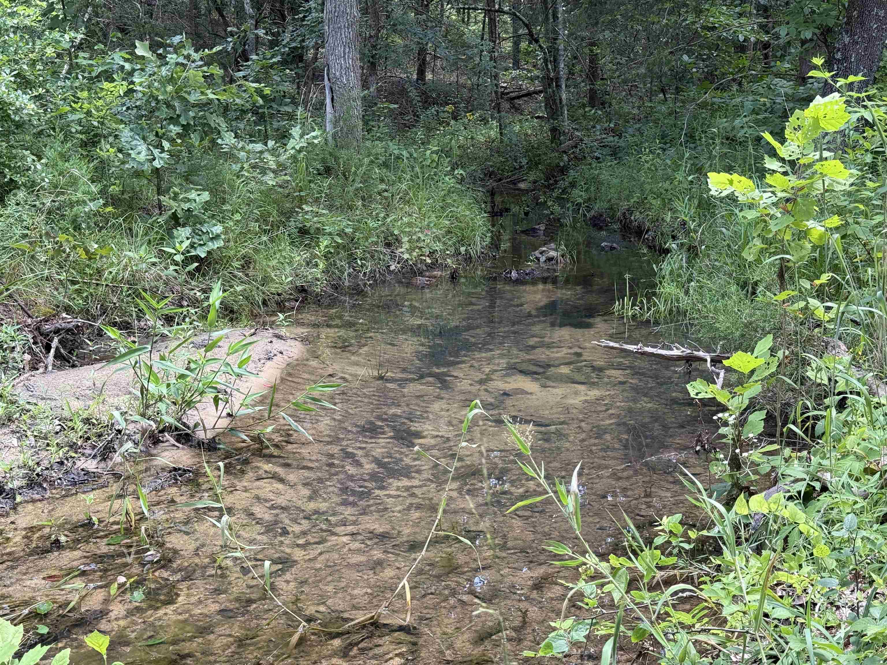 Photo 3 - Residential for sale – 2061A  Chapel Hill Road   Brockwell, AR