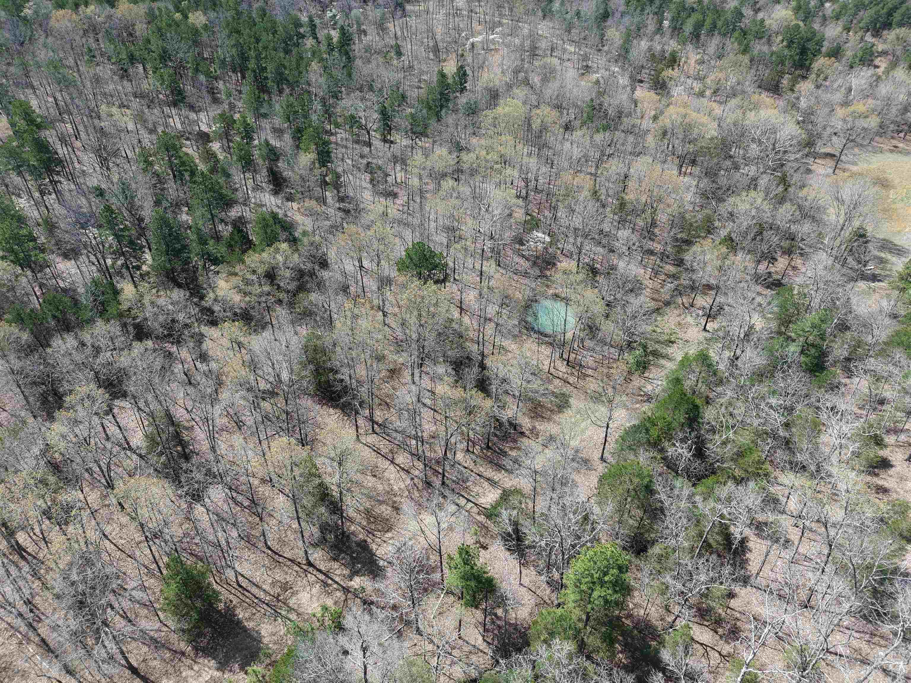 Photo 5 - Residential for sale – 2061A  Chapel Hill Road   Brockwell, AR