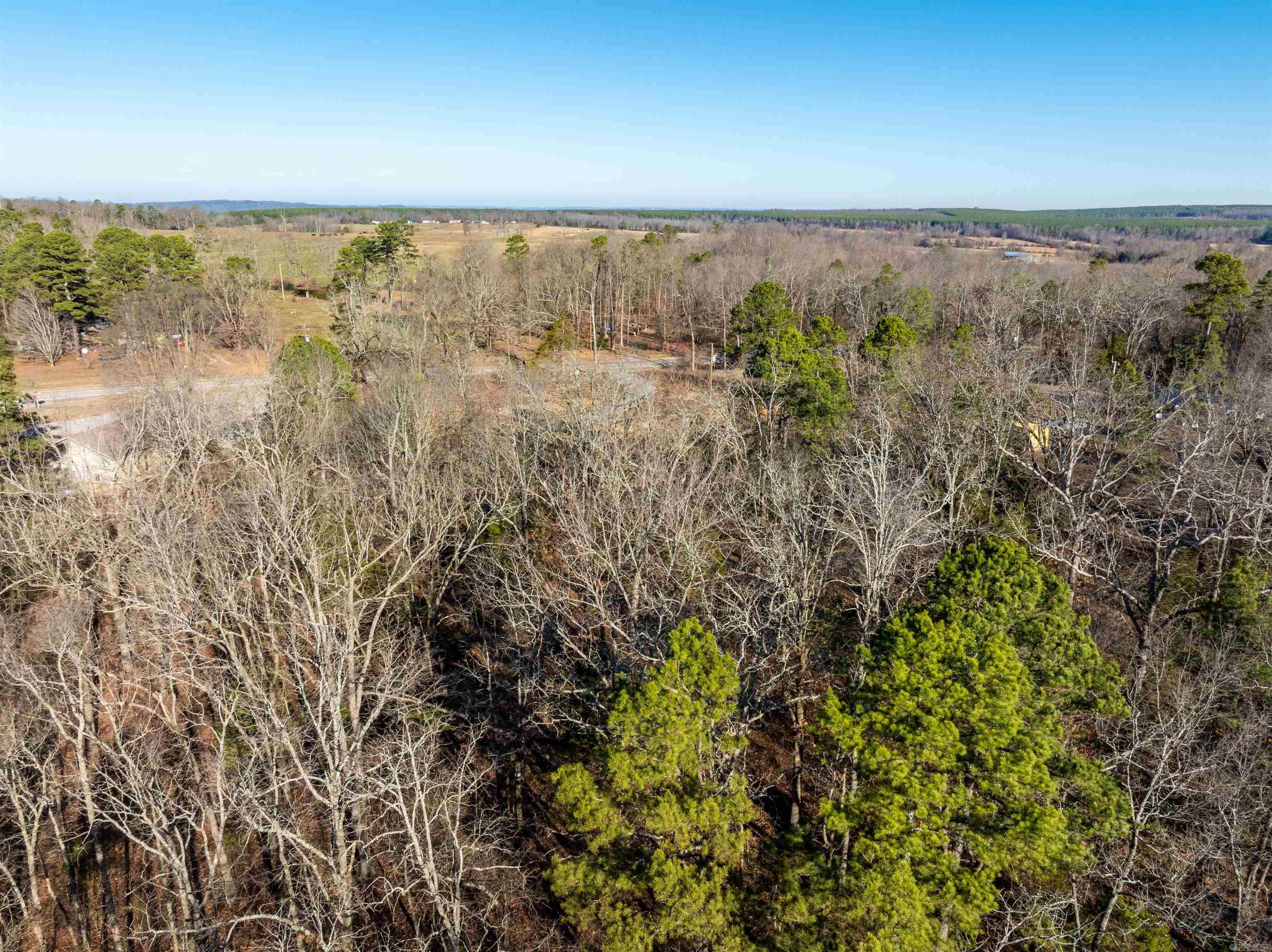 Photo 11 - Vacant Land for sale – 4027  Blackland Road   Pleasant Plains, AR