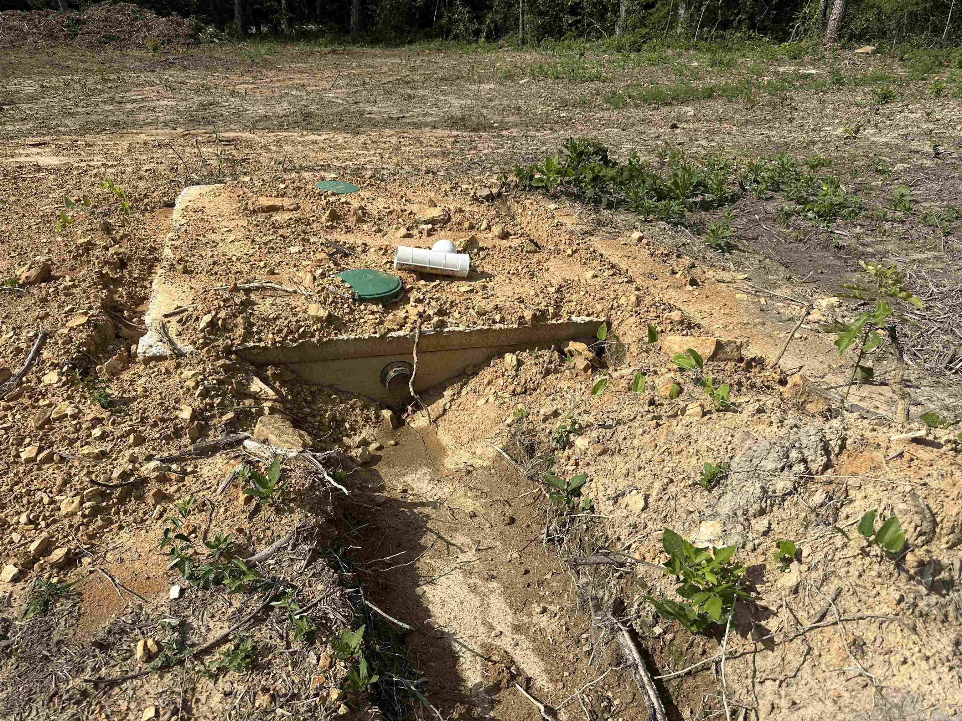 Photo 4 - Vacant Land for sale – 4027  Blackland Road   Pleasant Plains, AR