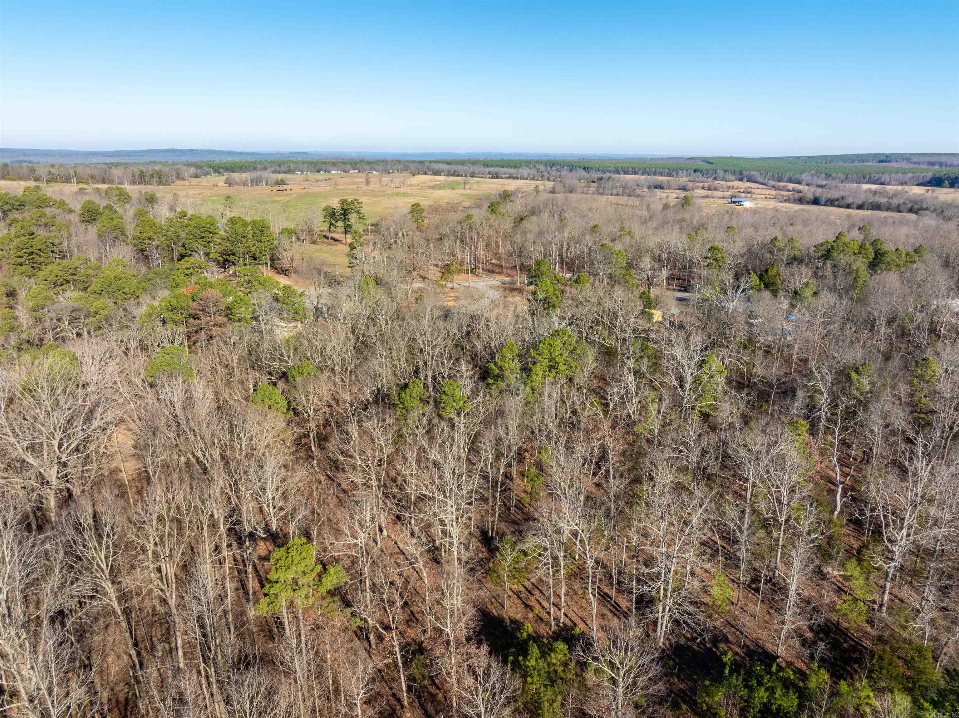 Photo 9 - Vacant Land for sale – 4027  Blackland Road   Pleasant Plains, AR