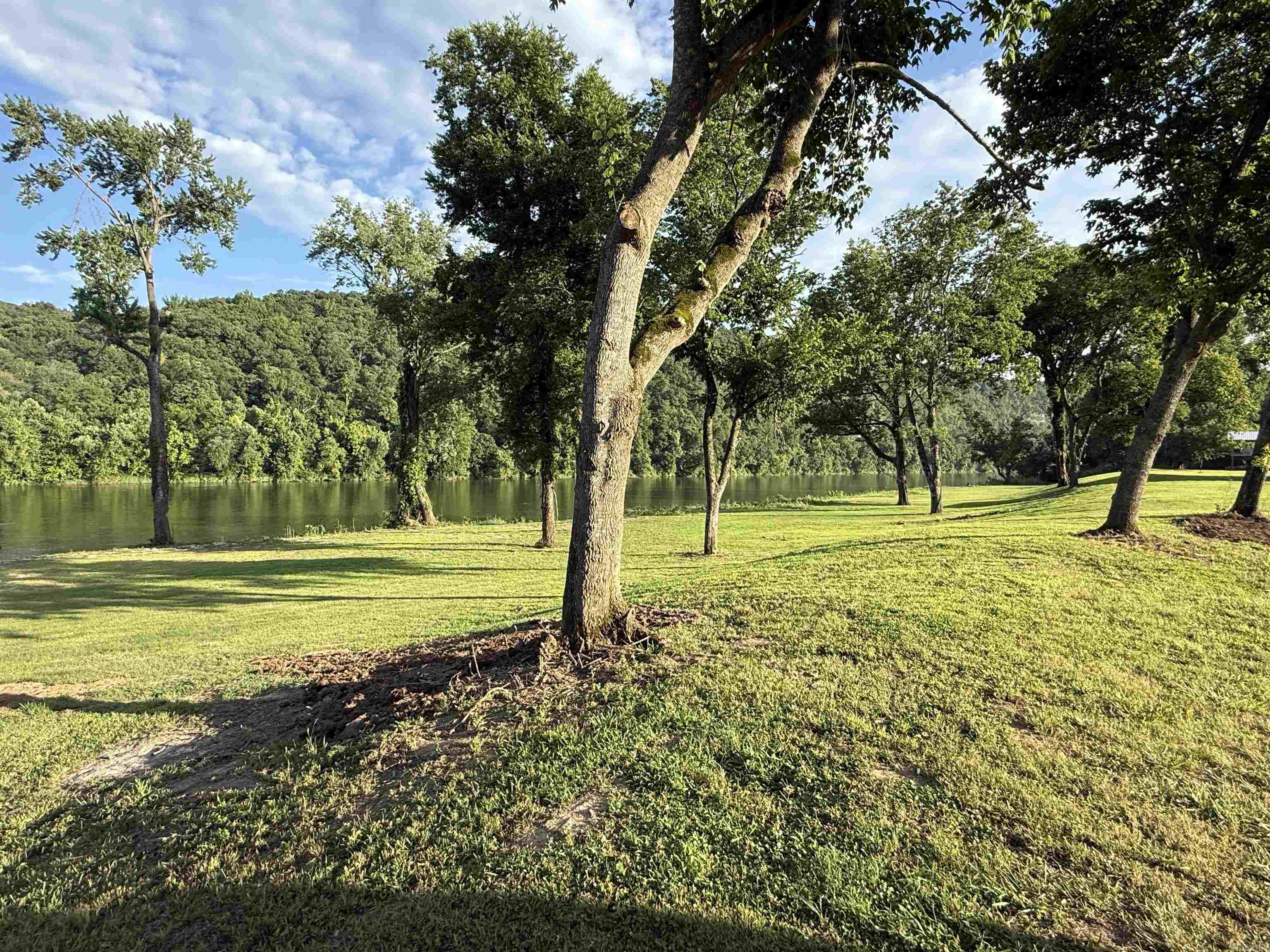 Photo 42 - Residential for sale – 75 E Schoolhouse Hollow Road   Mountain View, AR