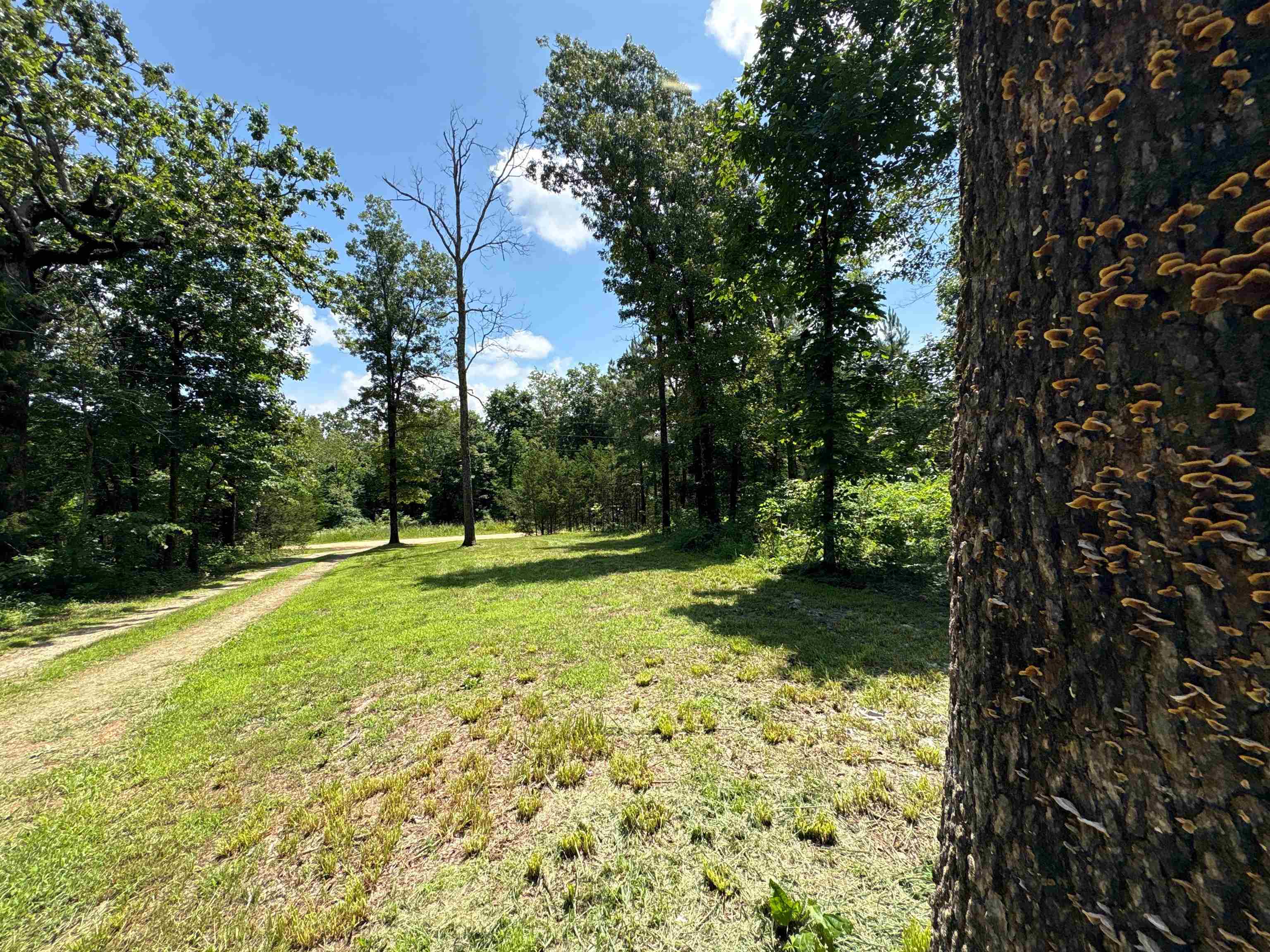 Photo 30 - Residential for sale – 420  Strawberry River   Oxford, AR