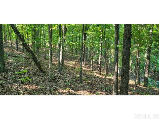 Photo 11 - Vacant Land for sale – 61  Barnes   Evening Shade, AR