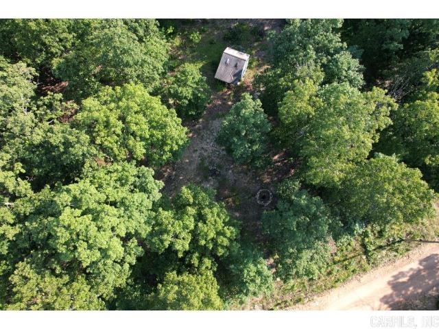 Photo 4 - Vacant Land for sale – 61  Barnes   Evening Shade, AR