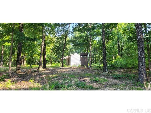 Photo 5 - Vacant Land for sale – 61  Barnes   Evening Shade, AR