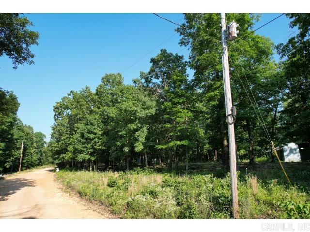 Photo 6 - Vacant Land for sale – 61  Barnes   Evening Shade, AR