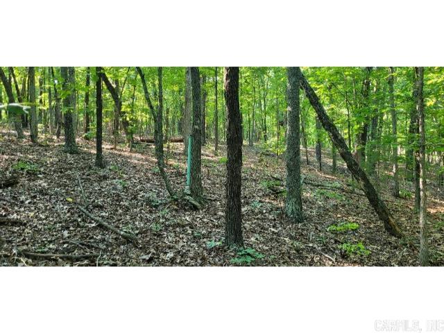 Photo 8 - Vacant Land for sale – 61  Barnes   Evening Shade, AR