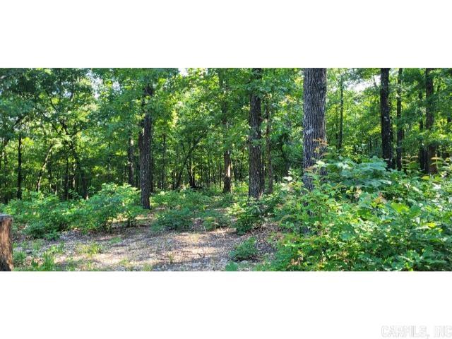 Photo 9 - Vacant Land for sale – 61  Barnes   Evening Shade, AR