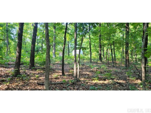 Photo 10 - Vacant Land for sale – 61  Barnes   Evening Shade, AR