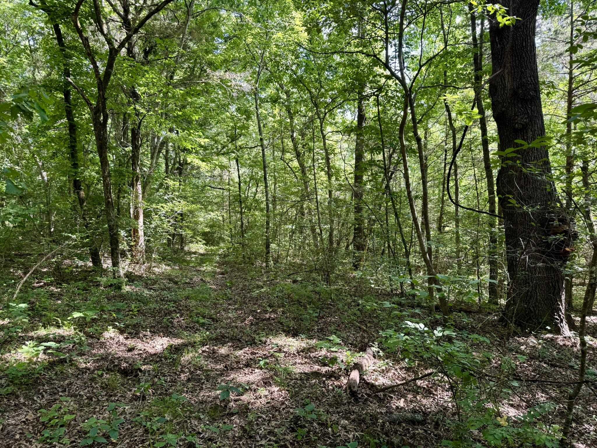 Photo 20 - Residential for sale – 3668  Lafferty Road   Mount Pleasant, AR