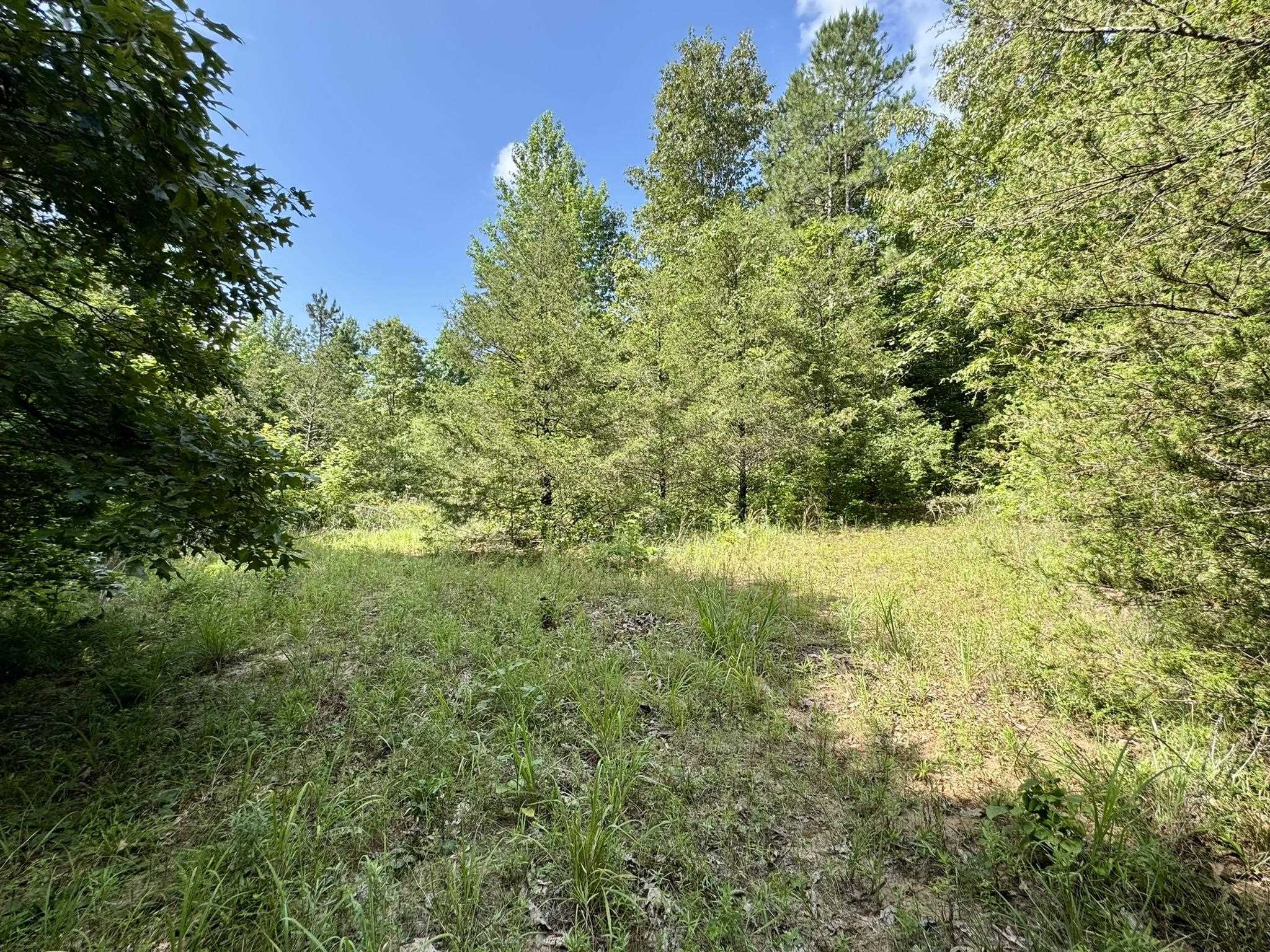 Photo 22 - Residential for sale – 3668  Lafferty Road   Mount Pleasant, AR