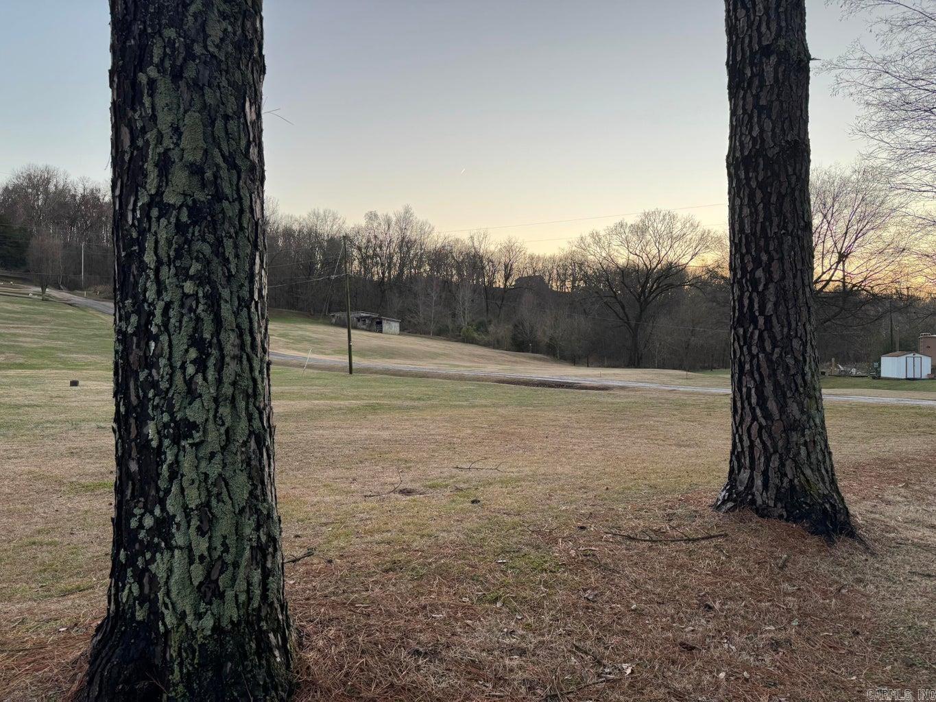 Photo 2 - Vacant Land for sale – 00  Cave Creek   Batesville, AR