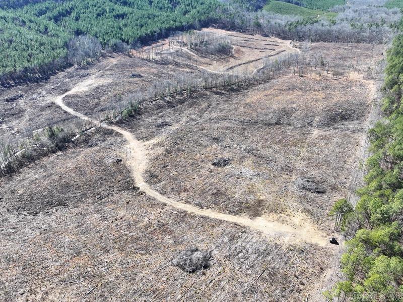 Farm/Ranch/Land for sale – TBD  Weyco Road   Hatton, AR