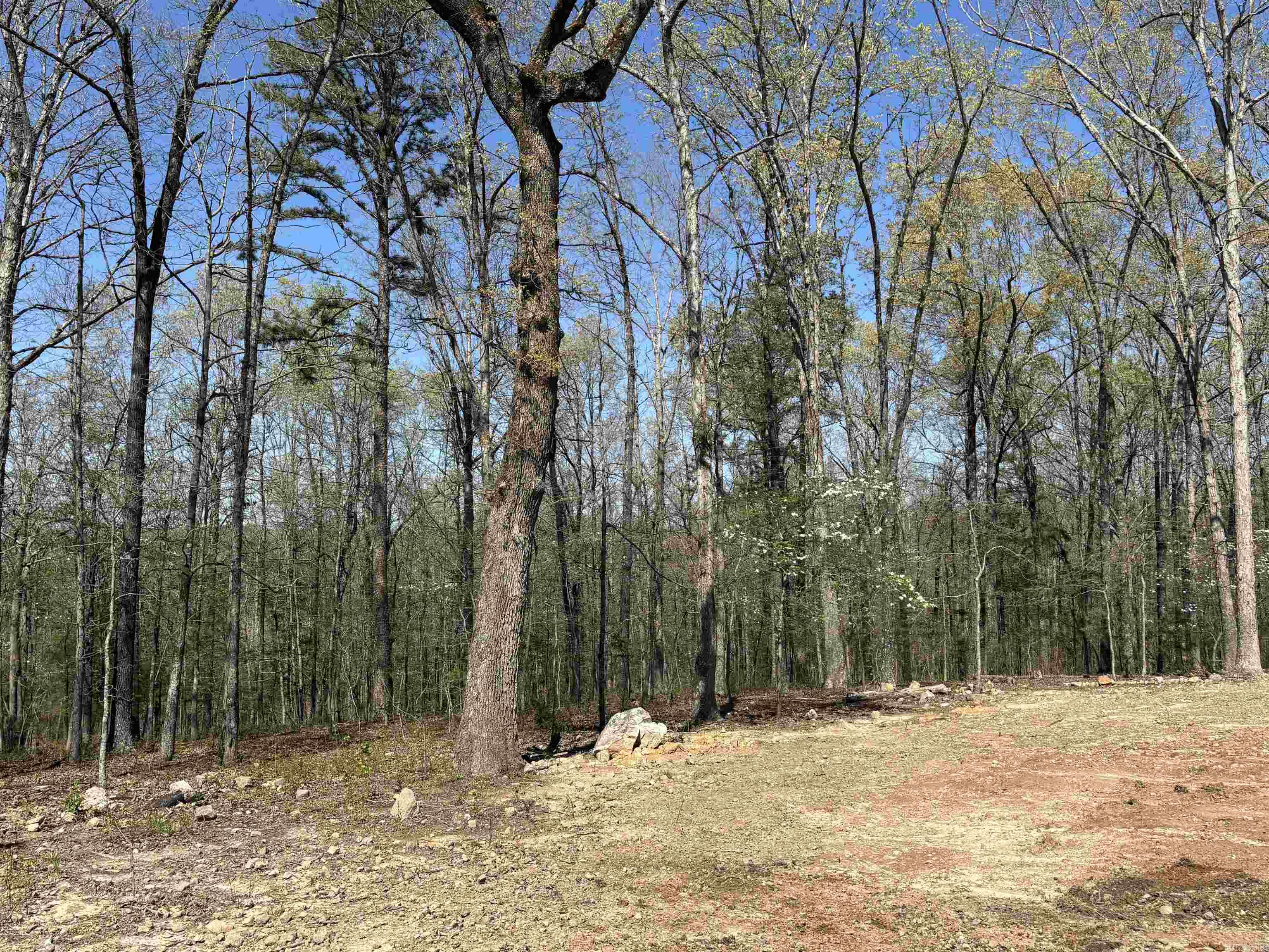 Photo 39 - Residential for sale – 1562  US Hwy 167   Evening Shade, AR