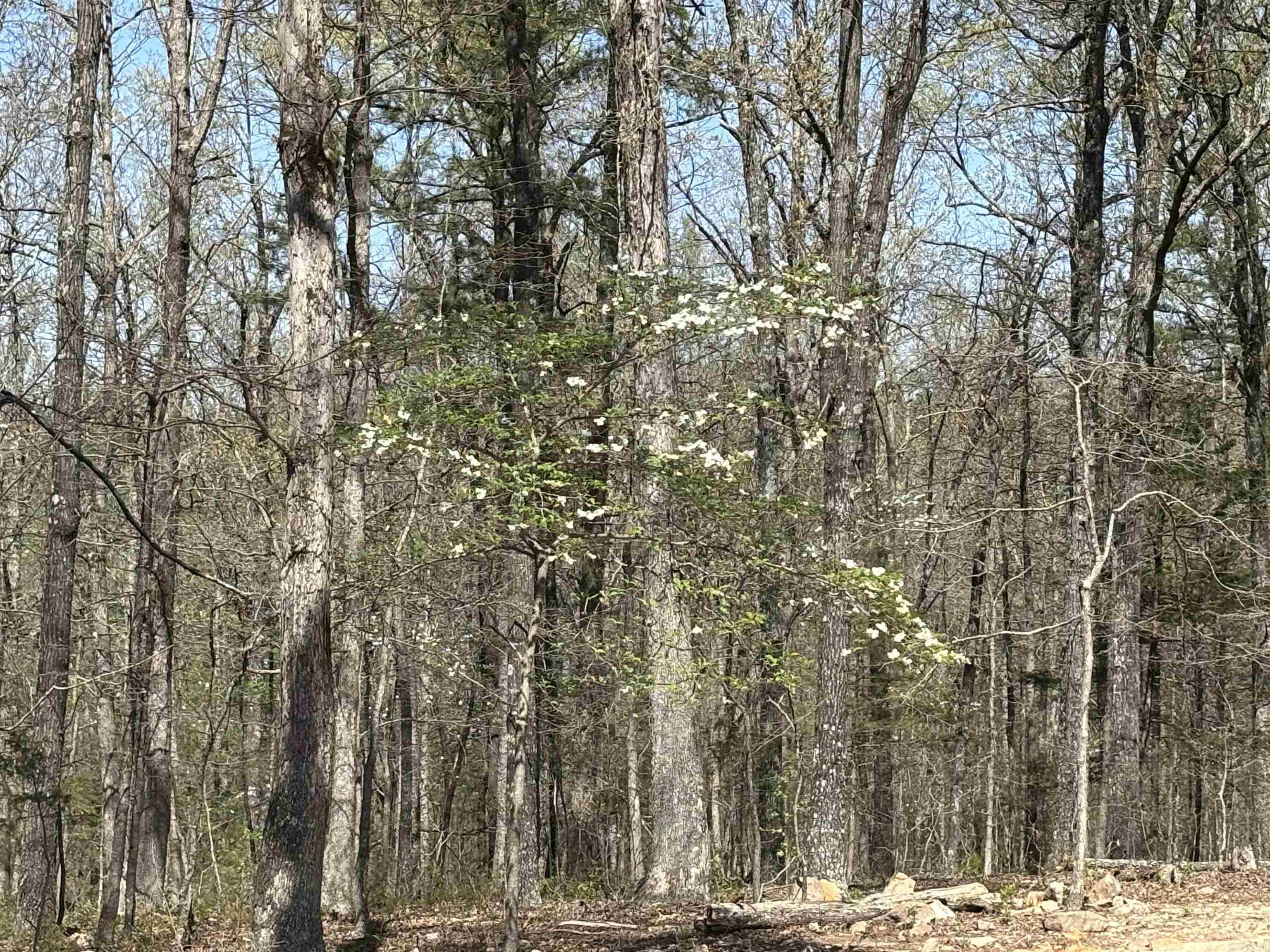 Photo 40 - Residential for sale – 1562  US Hwy 167   Evening Shade, AR