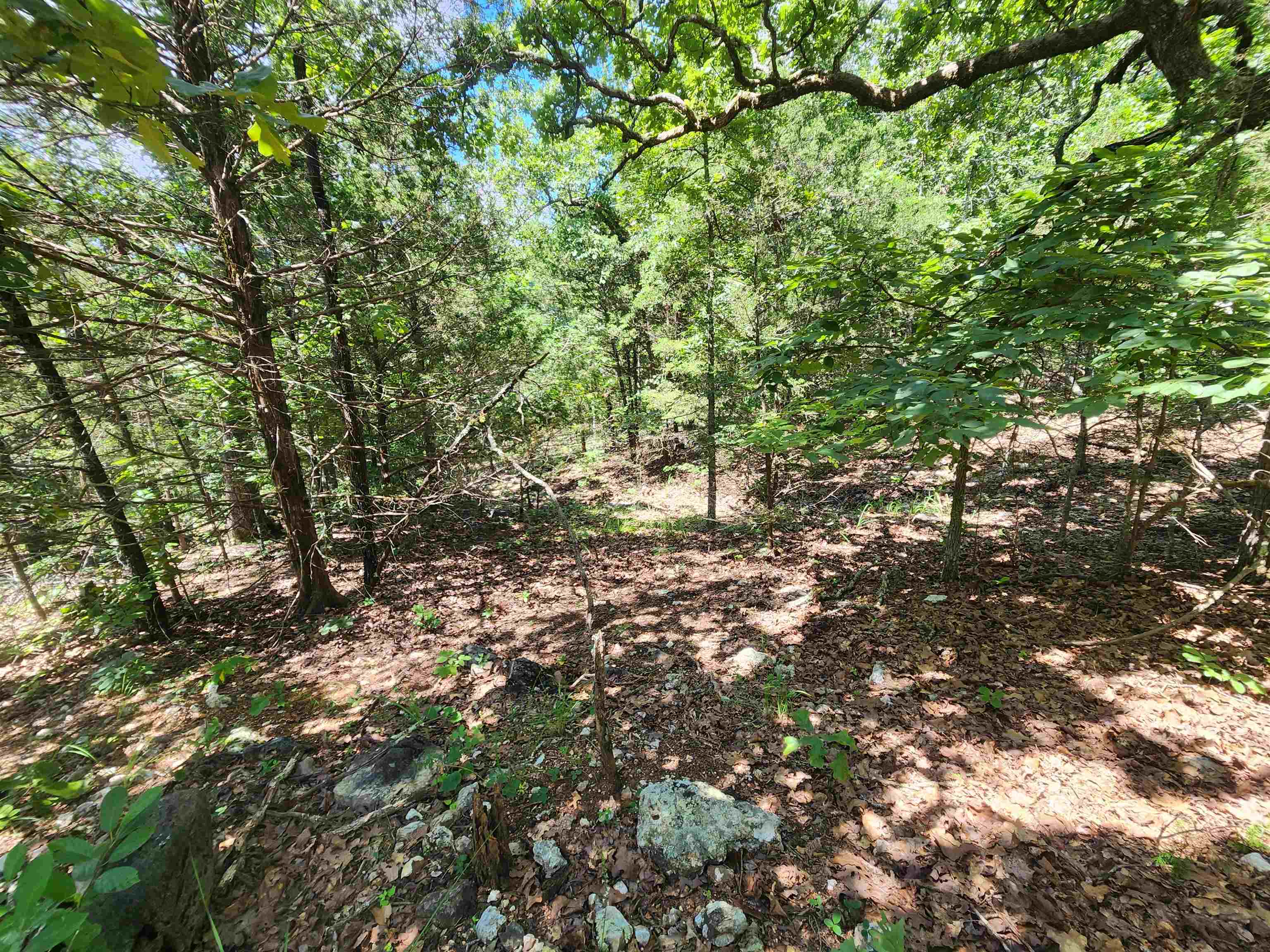 Vacant Land for sale – L35B2  Black Cloud   Cherokee Village, AR