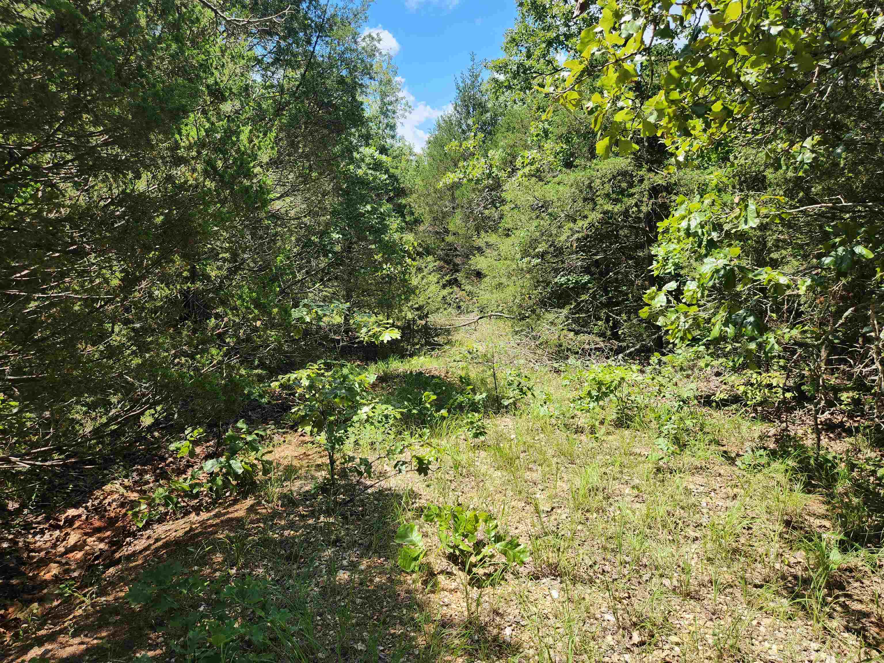 Photo 2 - Vacant Land for sale – L35B2  Black Cloud   Cherokee Village, AR