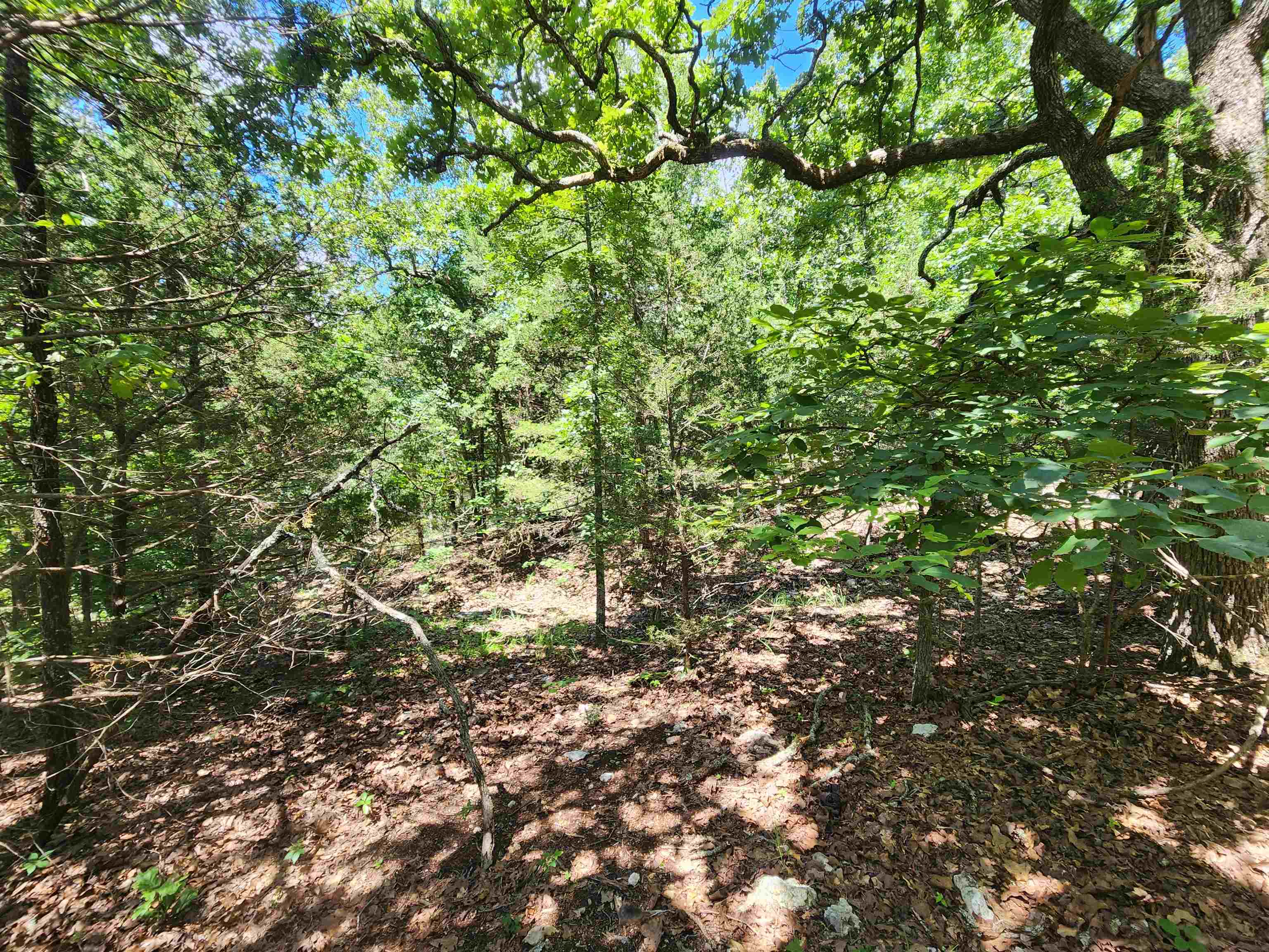 Photo 11 - Vacant Land for sale – L35B2  Black Cloud   Cherokee Village, AR