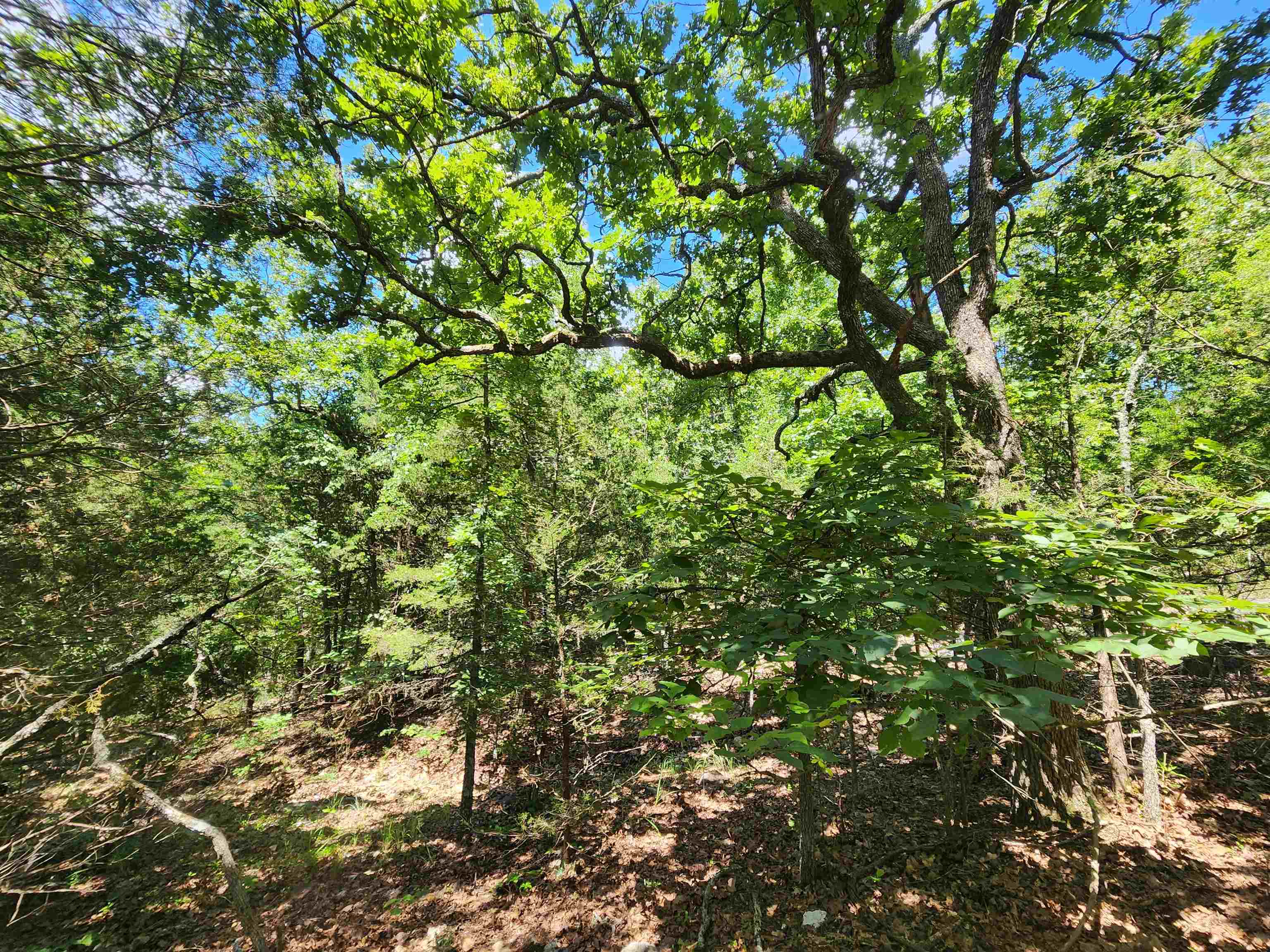 Photo 12 - Vacant Land for sale – L35B2  Black Cloud   Cherokee Village, AR
