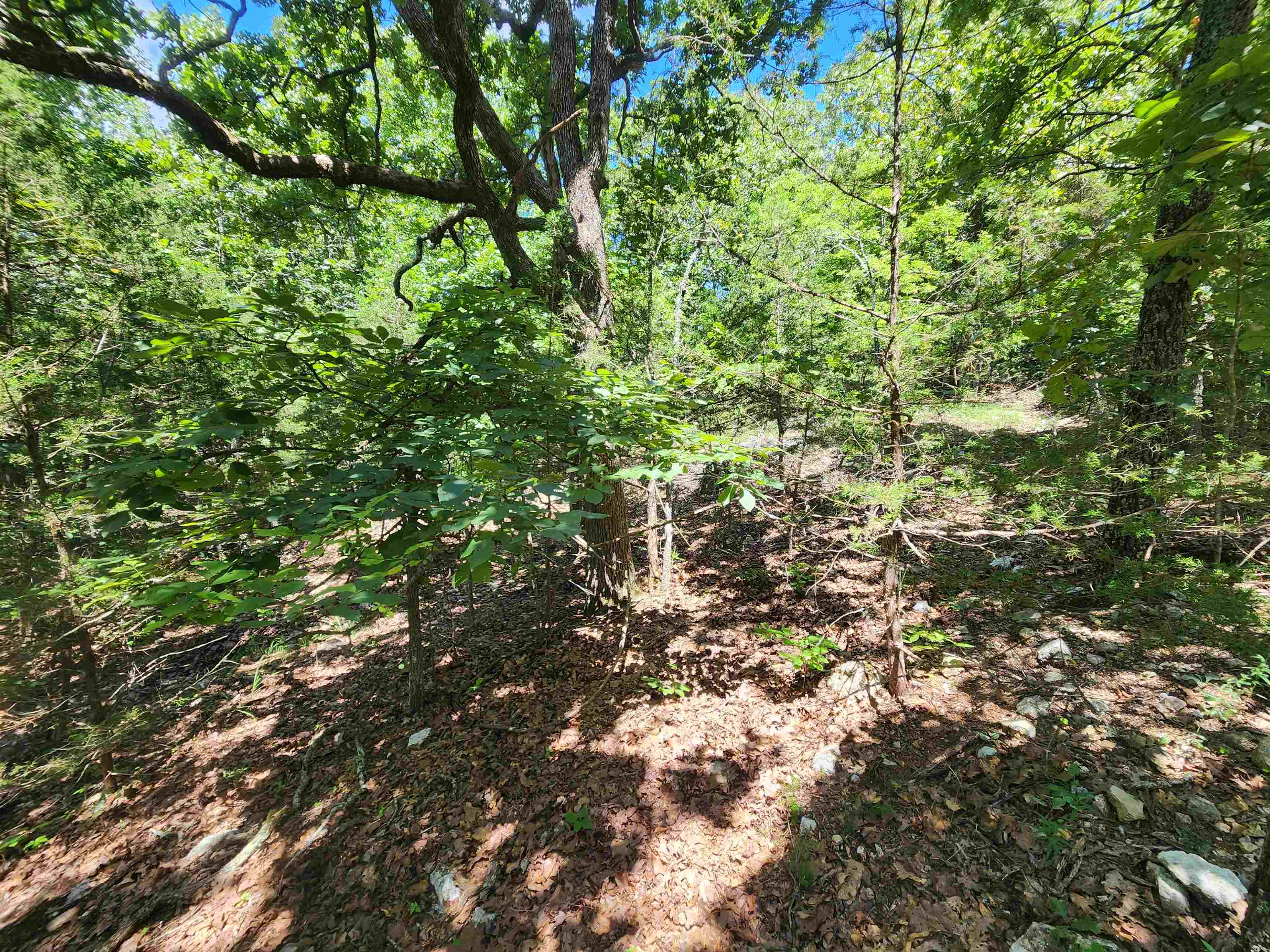 Photo 13 - Vacant Land for sale – L35B2  Black Cloud   Cherokee Village, AR