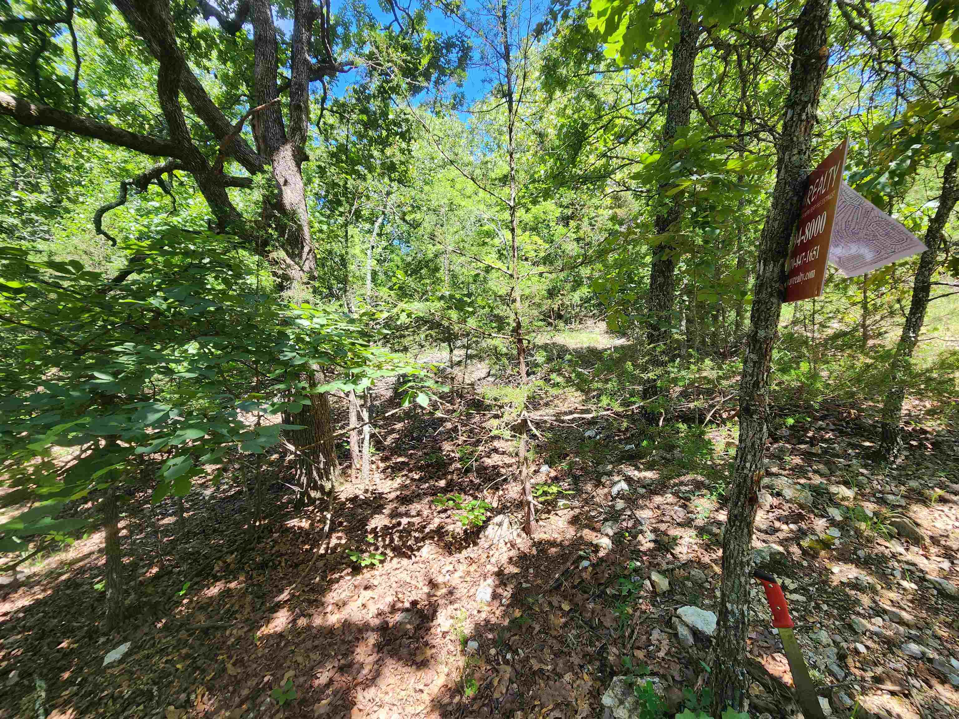 Photo 14 - Vacant Land for sale – L35B2  Black Cloud   Cherokee Village, AR