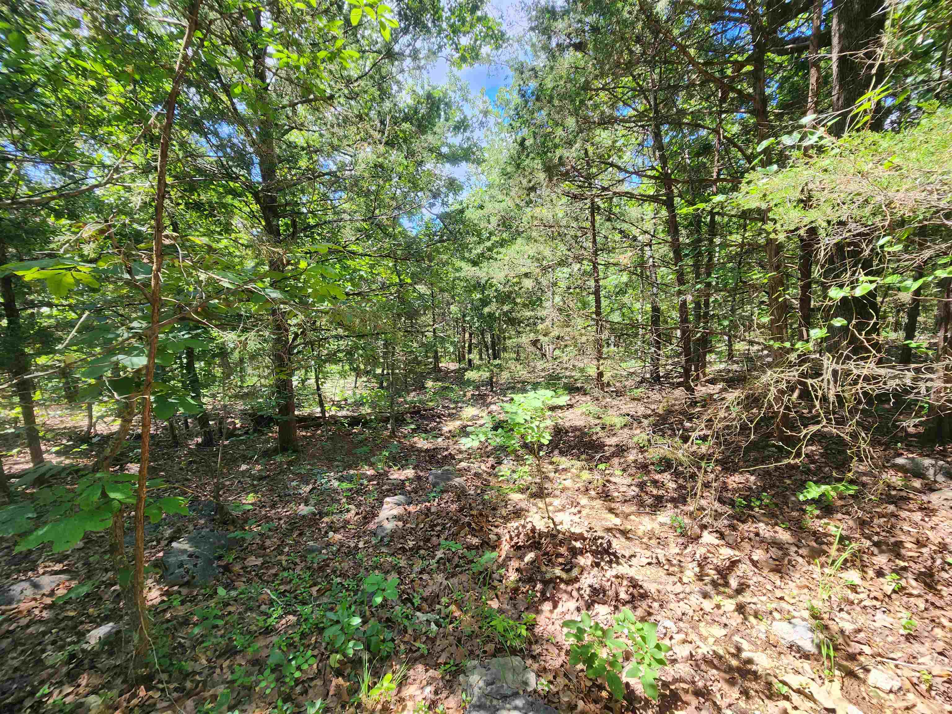 Photo 15 - Vacant Land for sale – L35B2  Black Cloud   Cherokee Village, AR