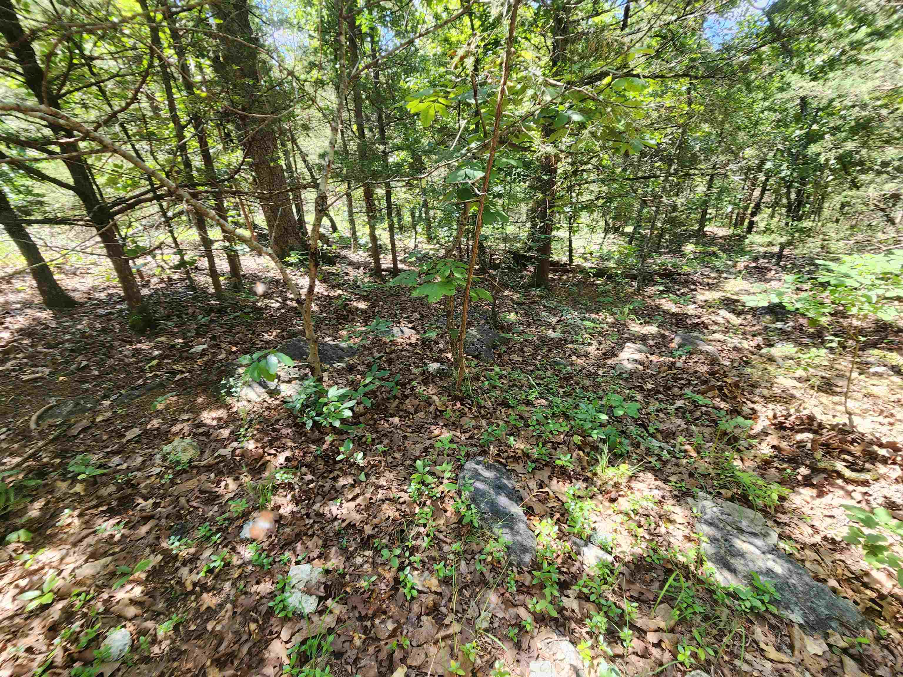 Photo 16 - Vacant Land for sale – L35B2  Black Cloud   Cherokee Village, AR