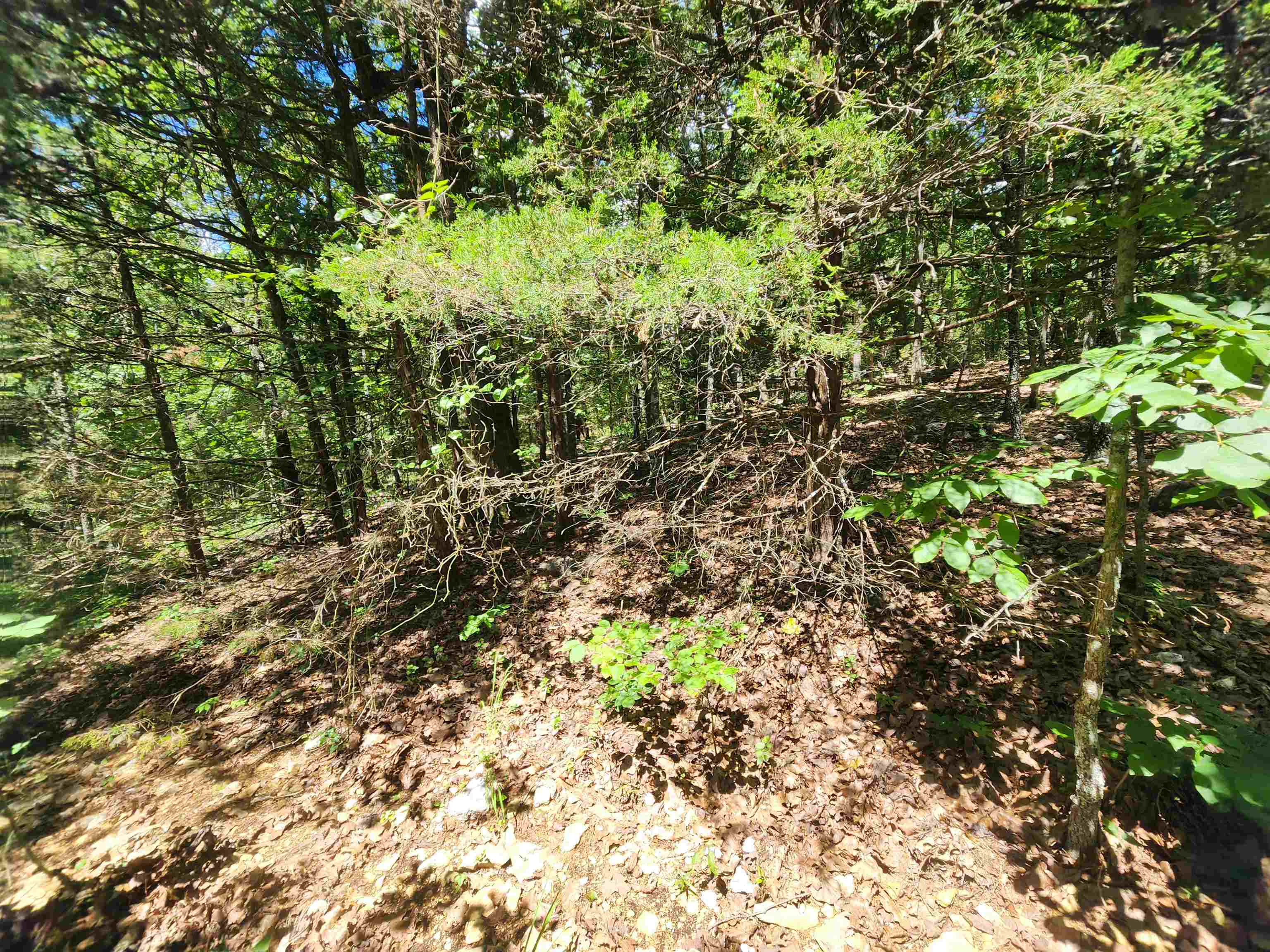Photo 17 - Vacant Land for sale – L35B2  Black Cloud   Cherokee Village, AR