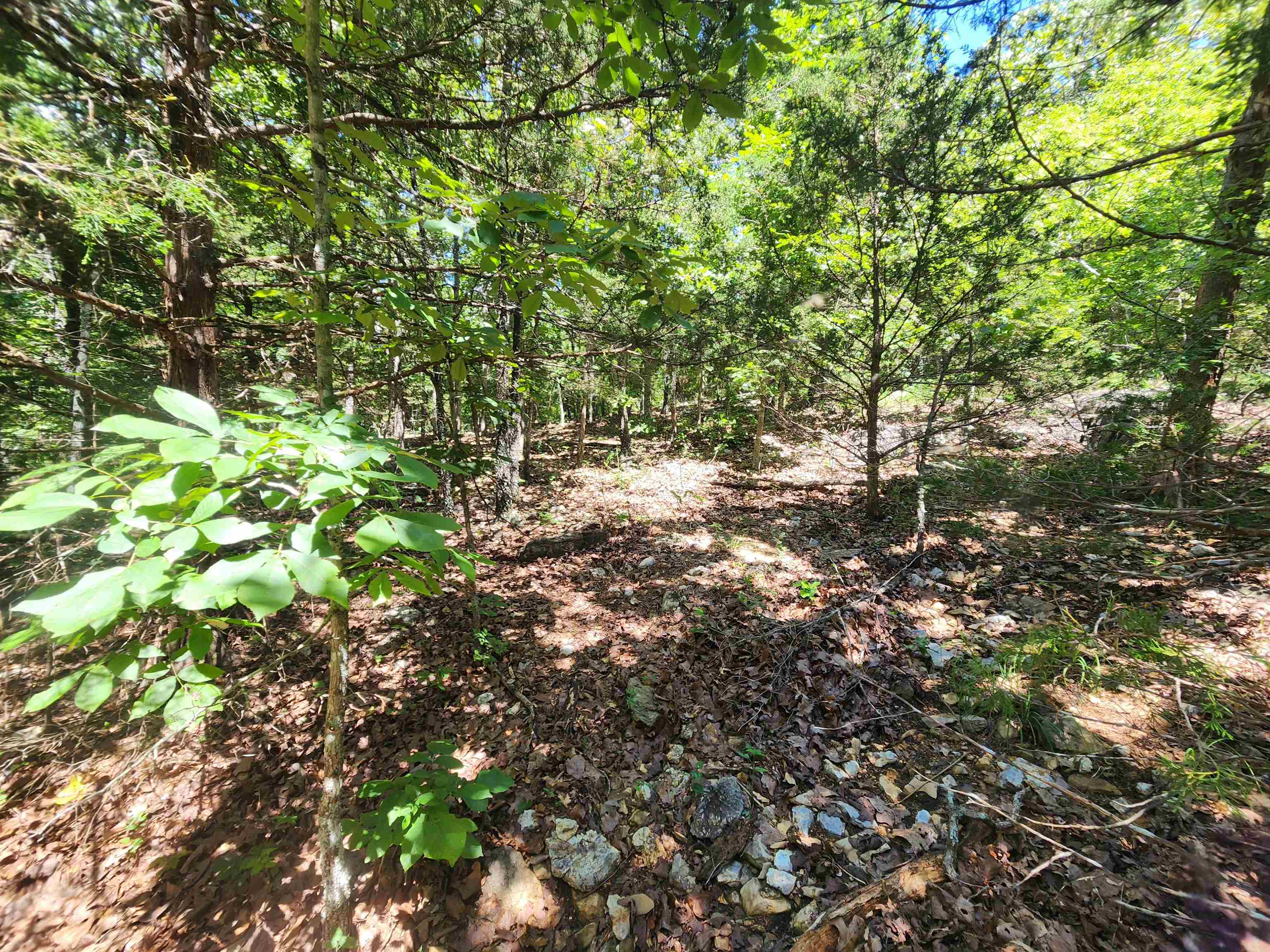 Photo 18 - Vacant Land for sale – L35B2  Black Cloud   Cherokee Village, AR