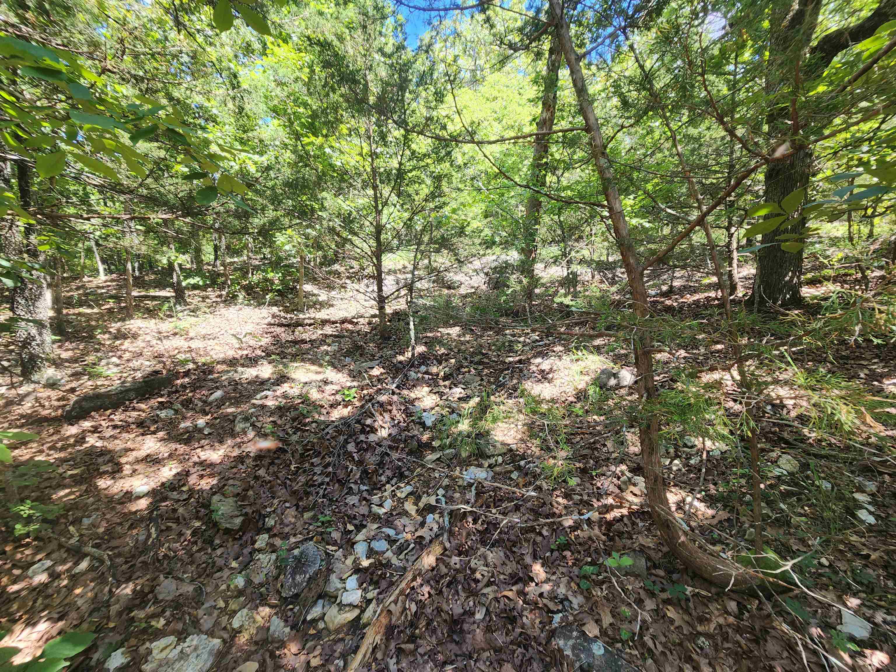 Photo 19 - Vacant Land for sale – L35B2  Black Cloud   Cherokee Village, AR