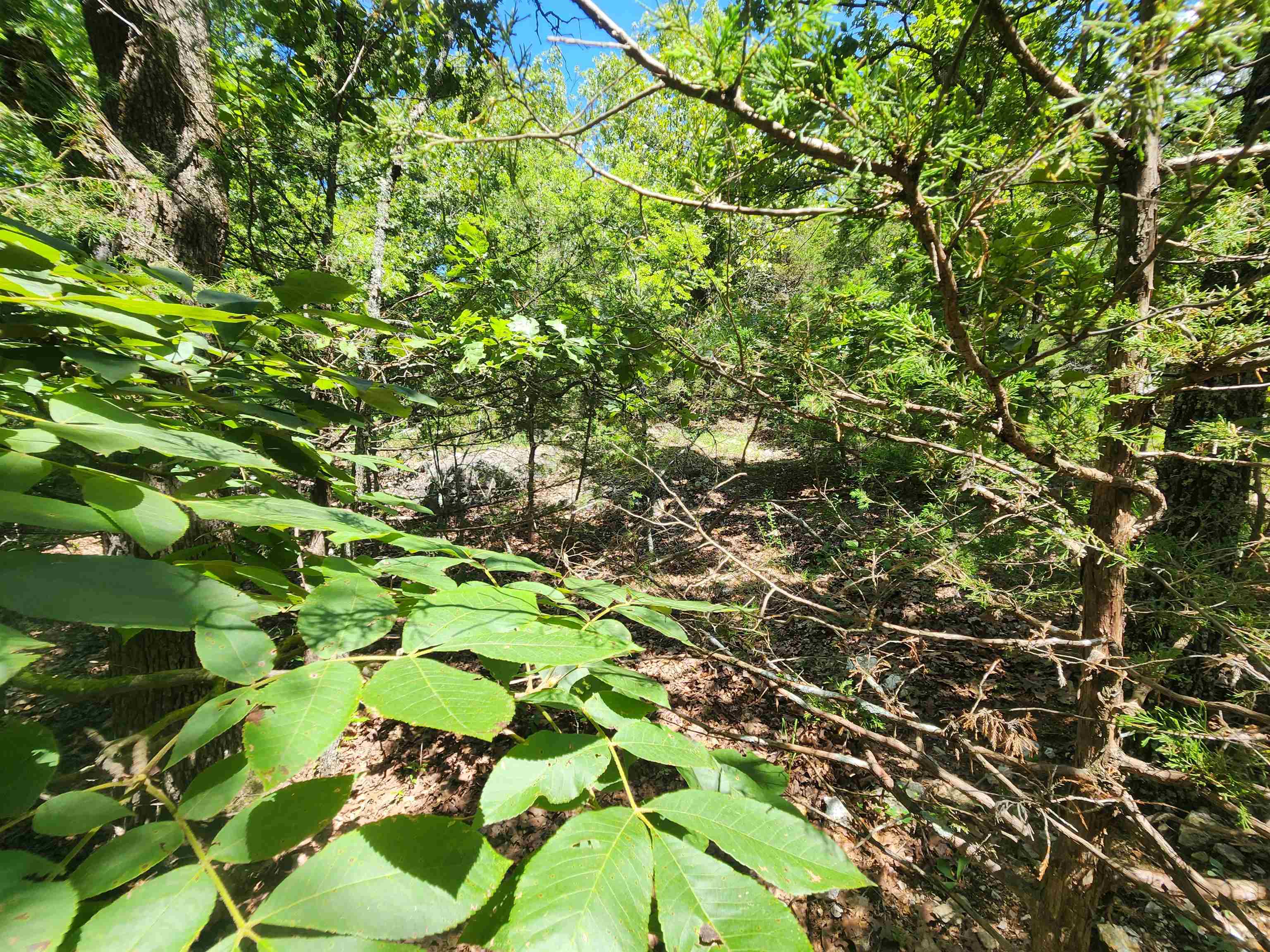 Photo 20 - Vacant Land for sale – L35B2  Black Cloud   Cherokee Village, AR