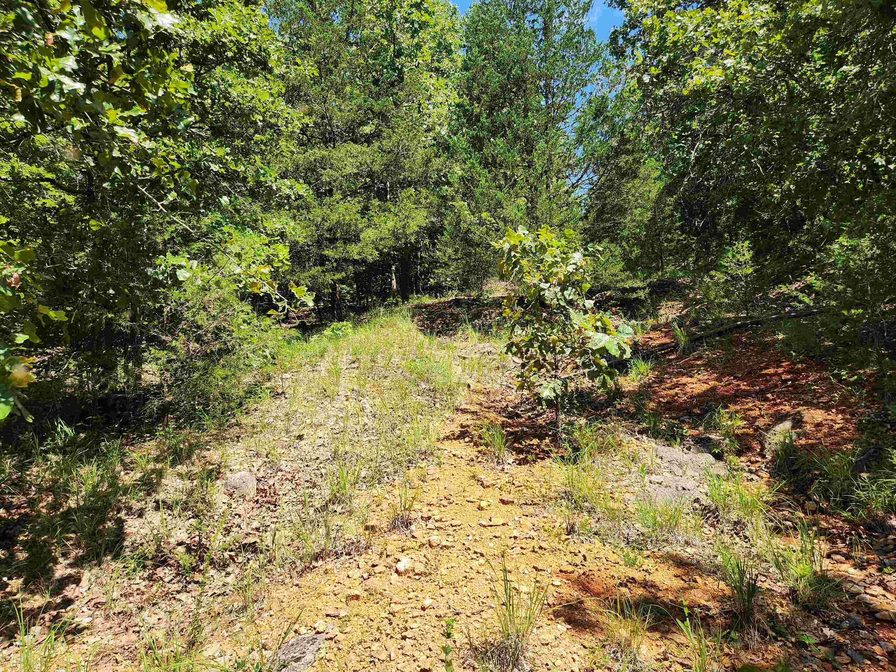 Photo 3 - Vacant Land for sale – L35B2  Black Cloud   Cherokee Village, AR