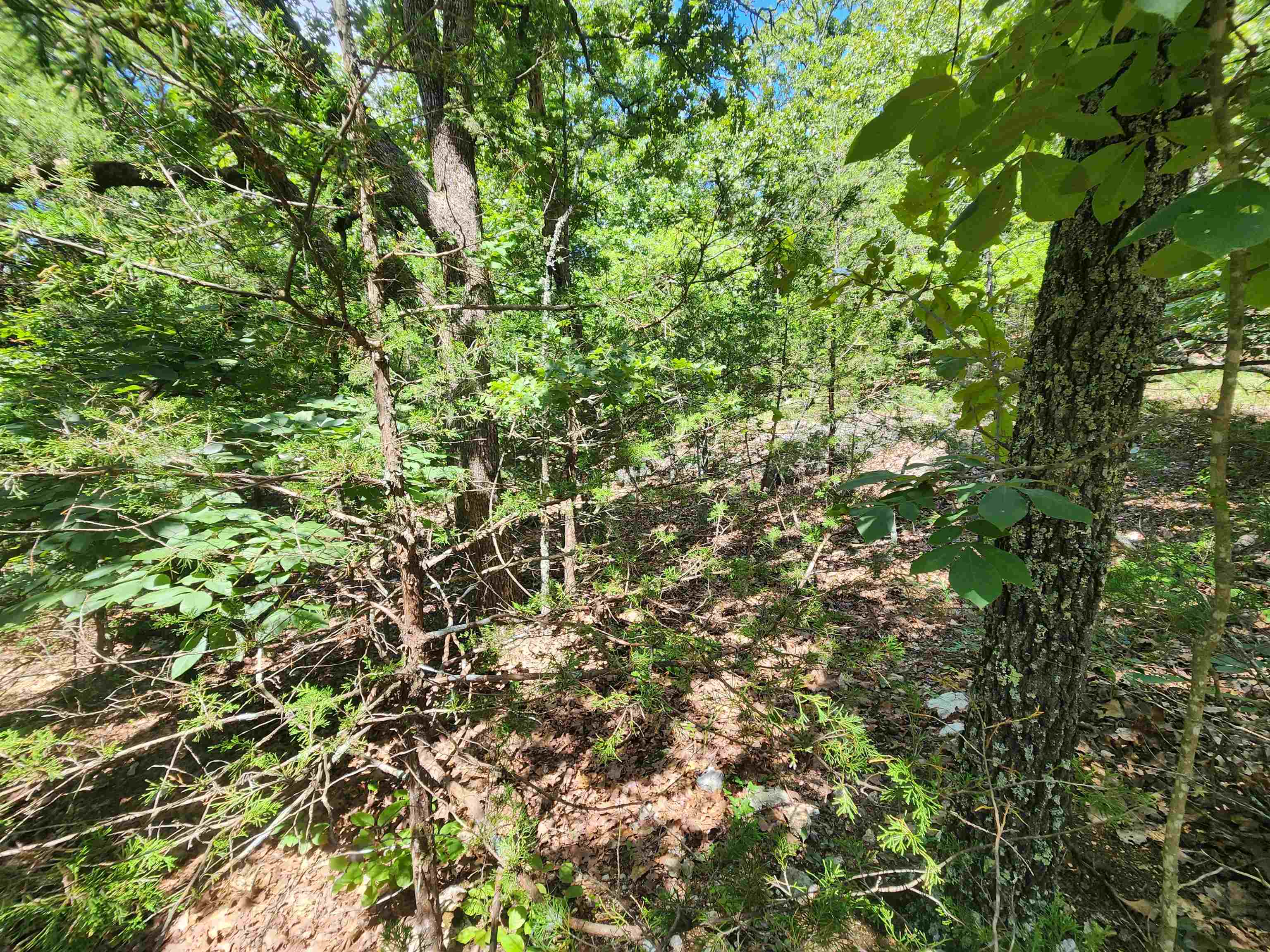 Photo 21 - Vacant Land for sale – L35B2  Black Cloud   Cherokee Village, AR