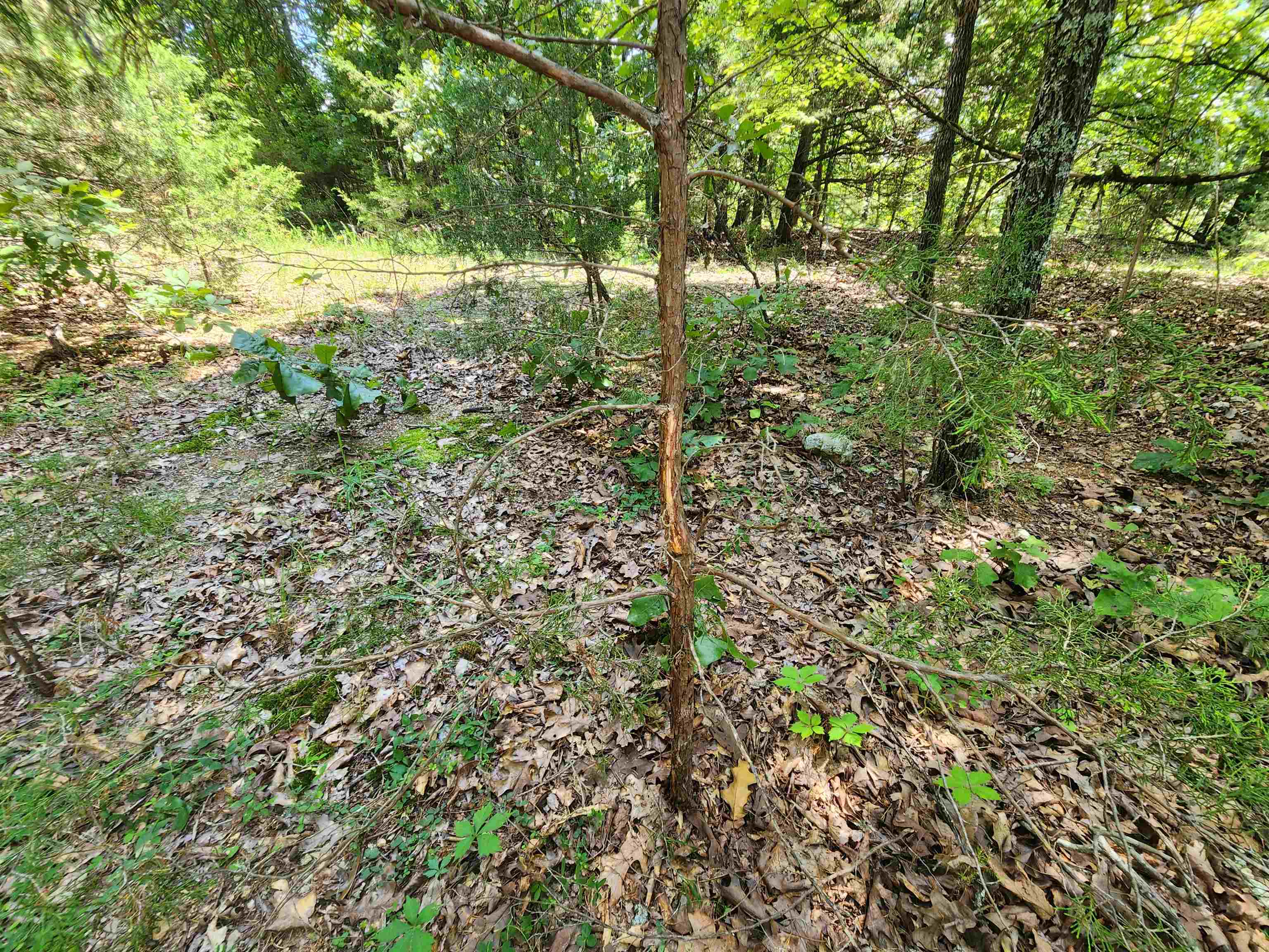 Photo 22 - Vacant Land for sale – L35B2  Black Cloud   Cherokee Village, AR