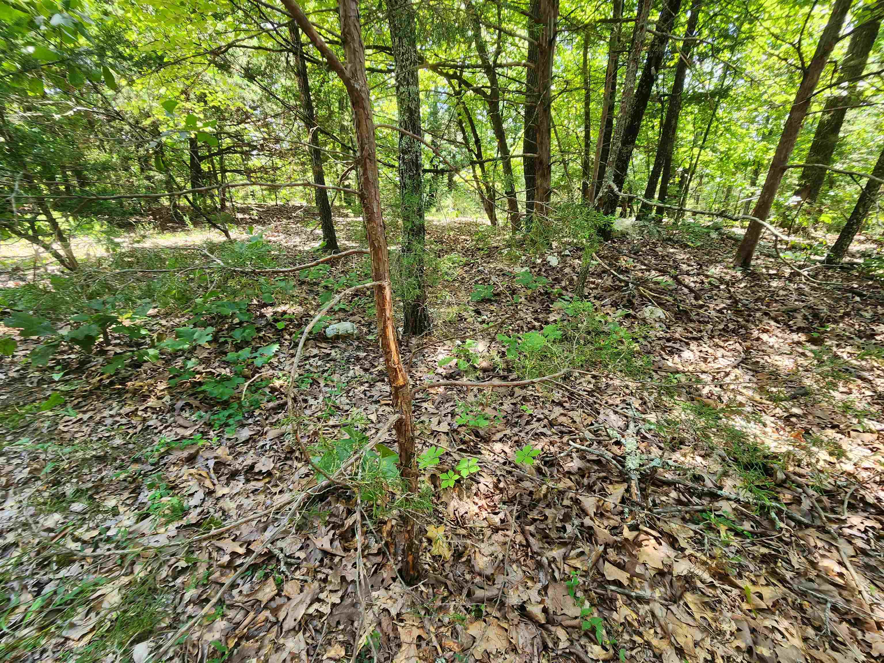 Photo 23 - Vacant Land for sale – L35B2  Black Cloud   Cherokee Village, AR