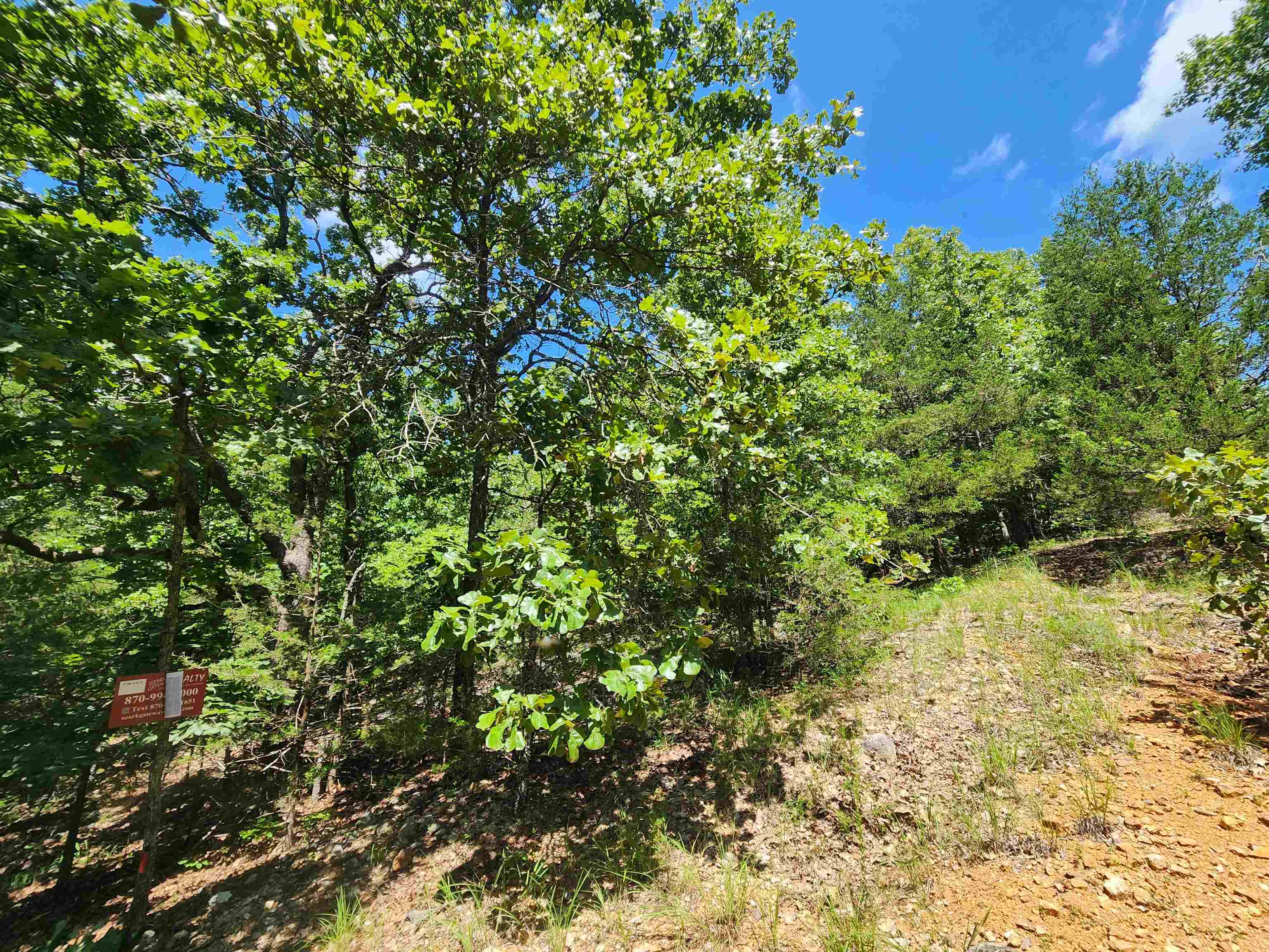Photo 4 - Vacant Land for sale – L35B2  Black Cloud   Cherokee Village, AR