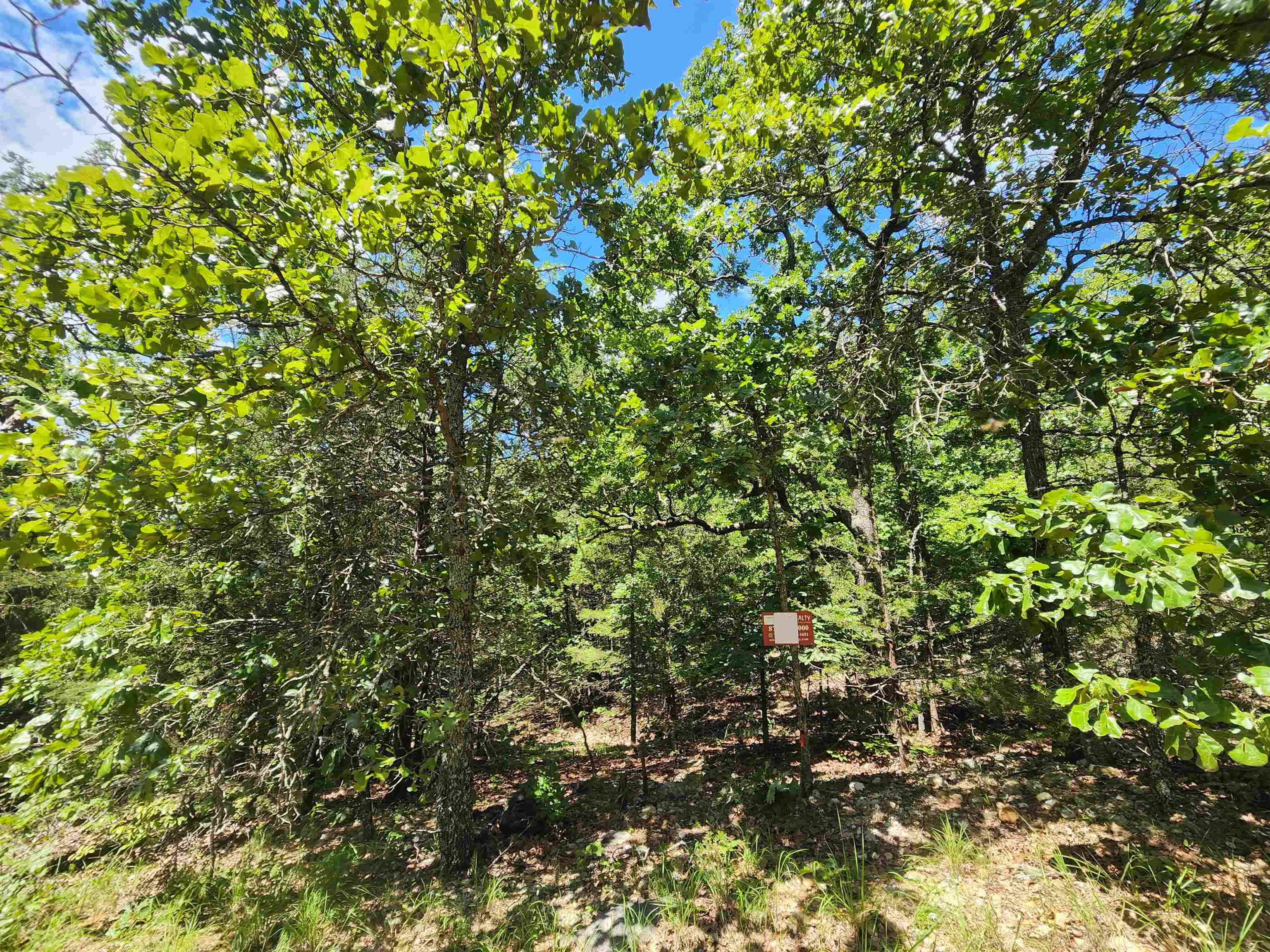 Photo 6 - Vacant Land for sale – L35B2  Black Cloud   Cherokee Village, AR
