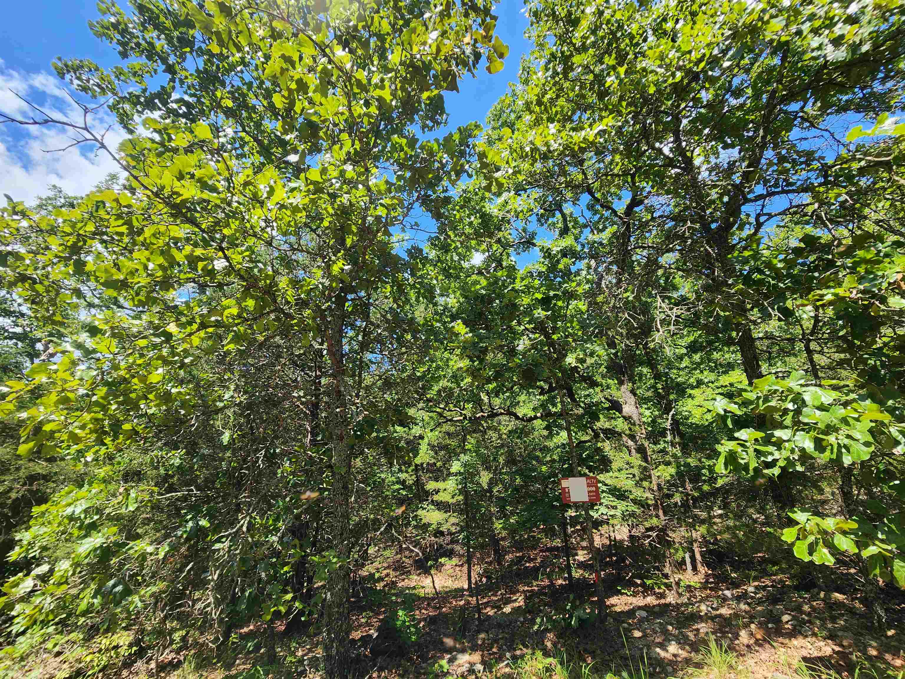 Photo 7 - Vacant Land for sale – L35B2  Black Cloud   Cherokee Village, AR