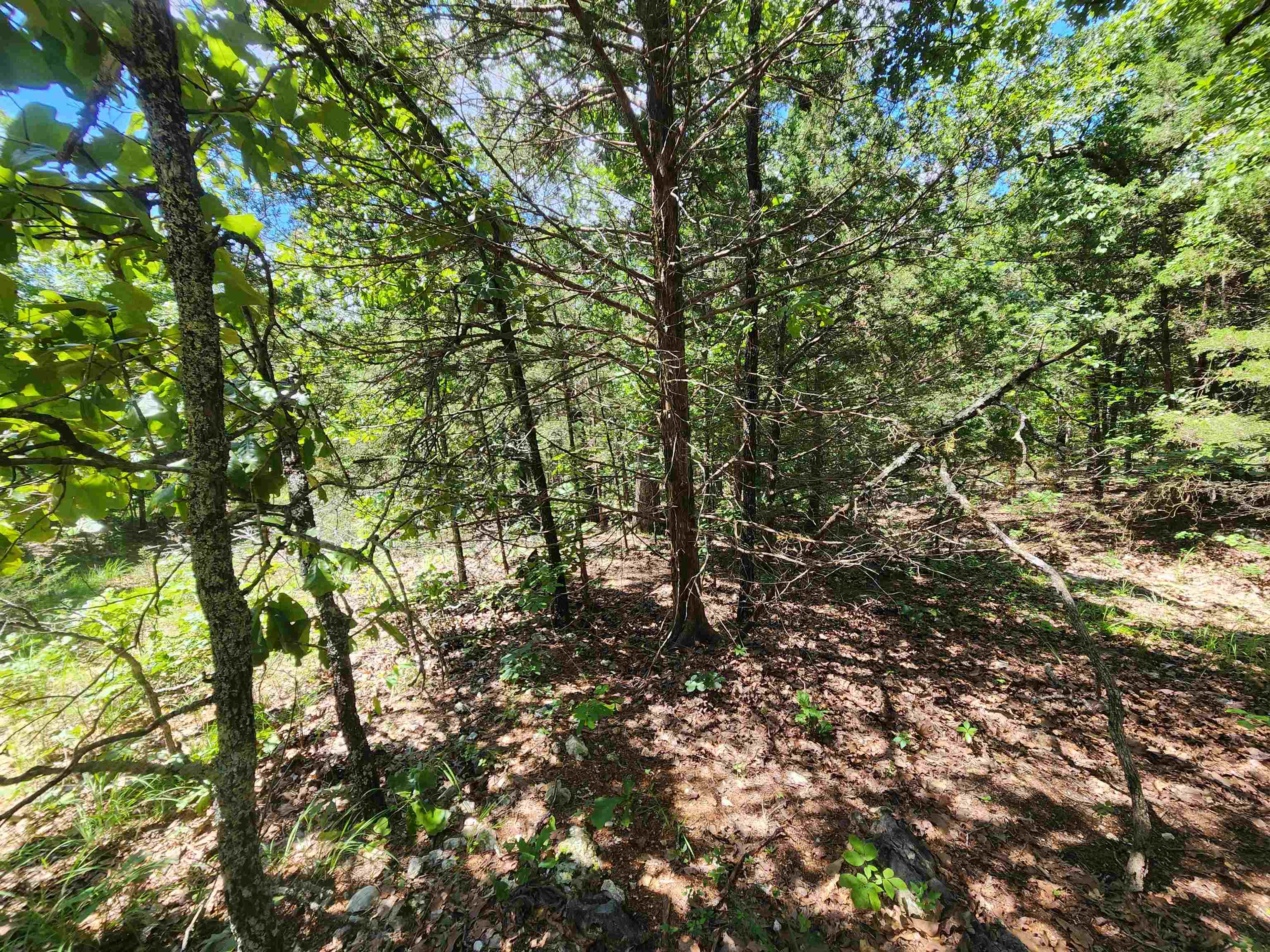 Photo 10 - Vacant Land for sale – L35B2  Black Cloud   Cherokee Village, AR