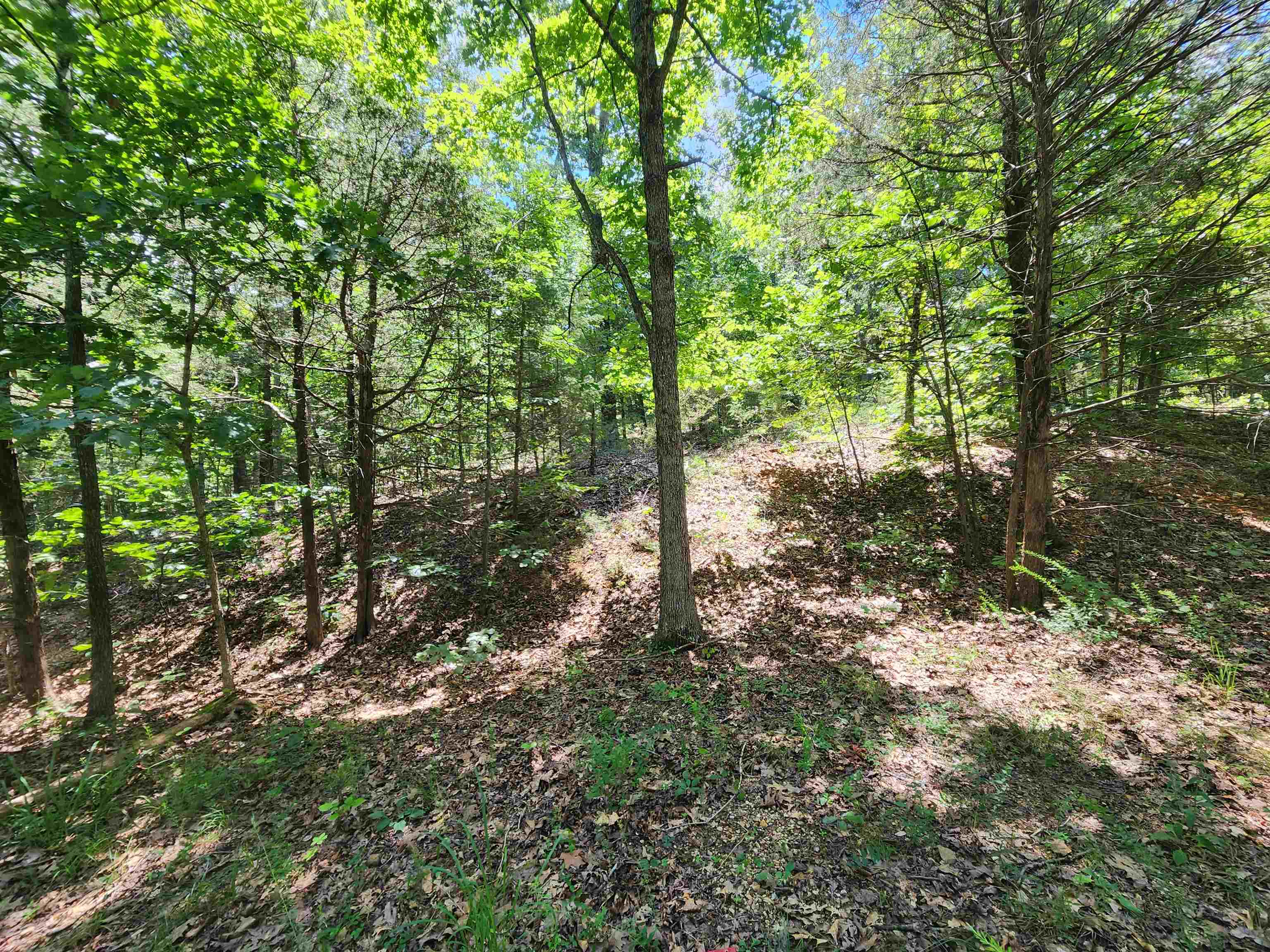 Vacant Land for sale – L10B9  Quarez   Cherokee Village, AR