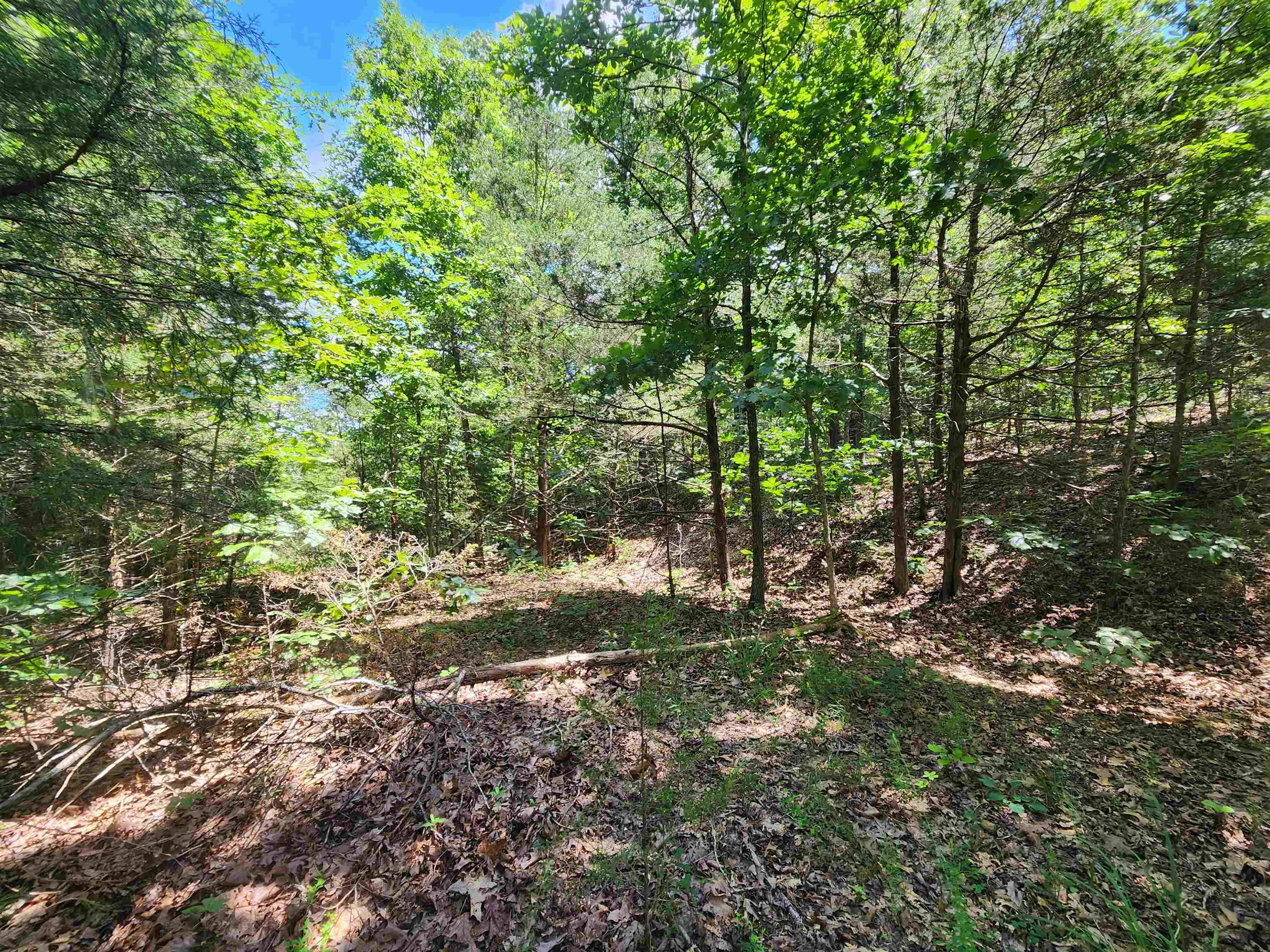 Photo 2 - Vacant Land for sale – L10B9  Quarez   Cherokee Village, AR