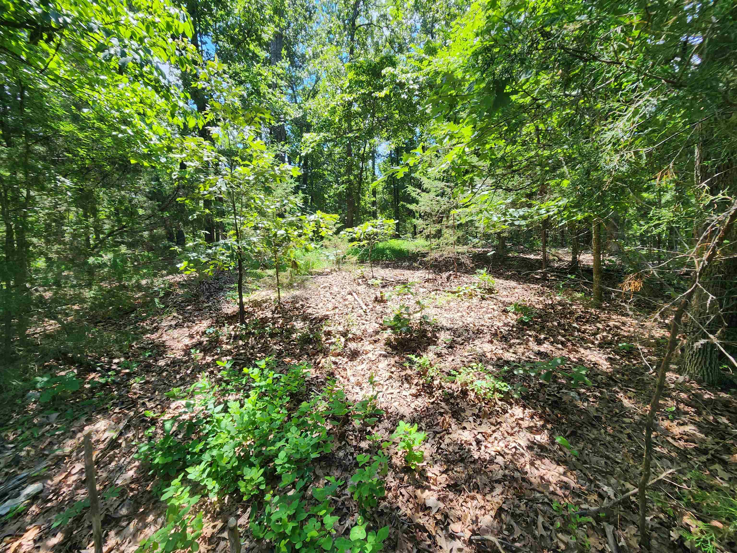 Photo 11 - Vacant Land for sale – L10B9  Quarez   Cherokee Village, AR