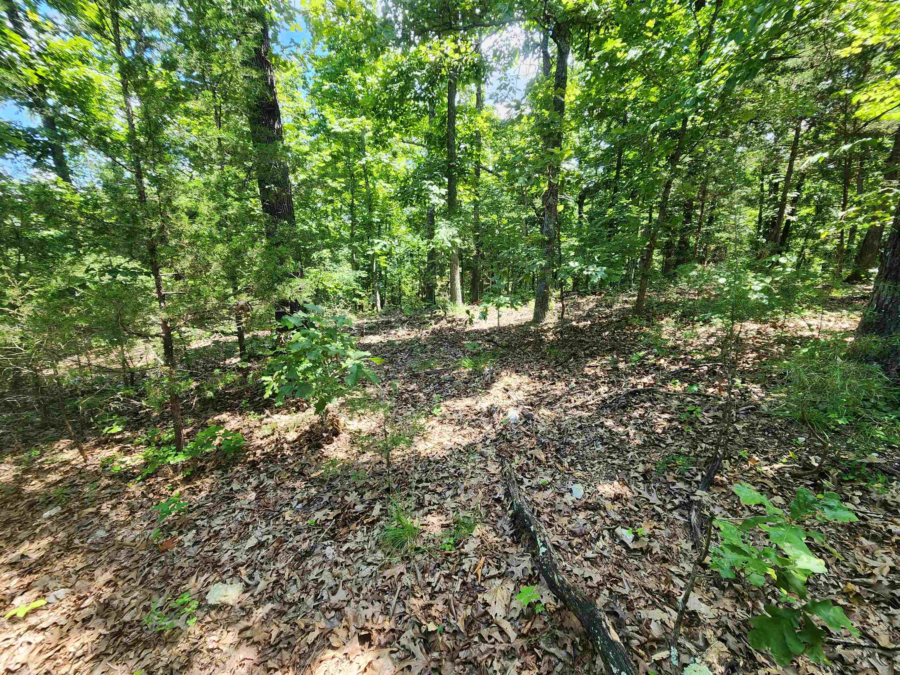 Photo 12 - Vacant Land for sale – L10B9  Quarez   Cherokee Village, AR