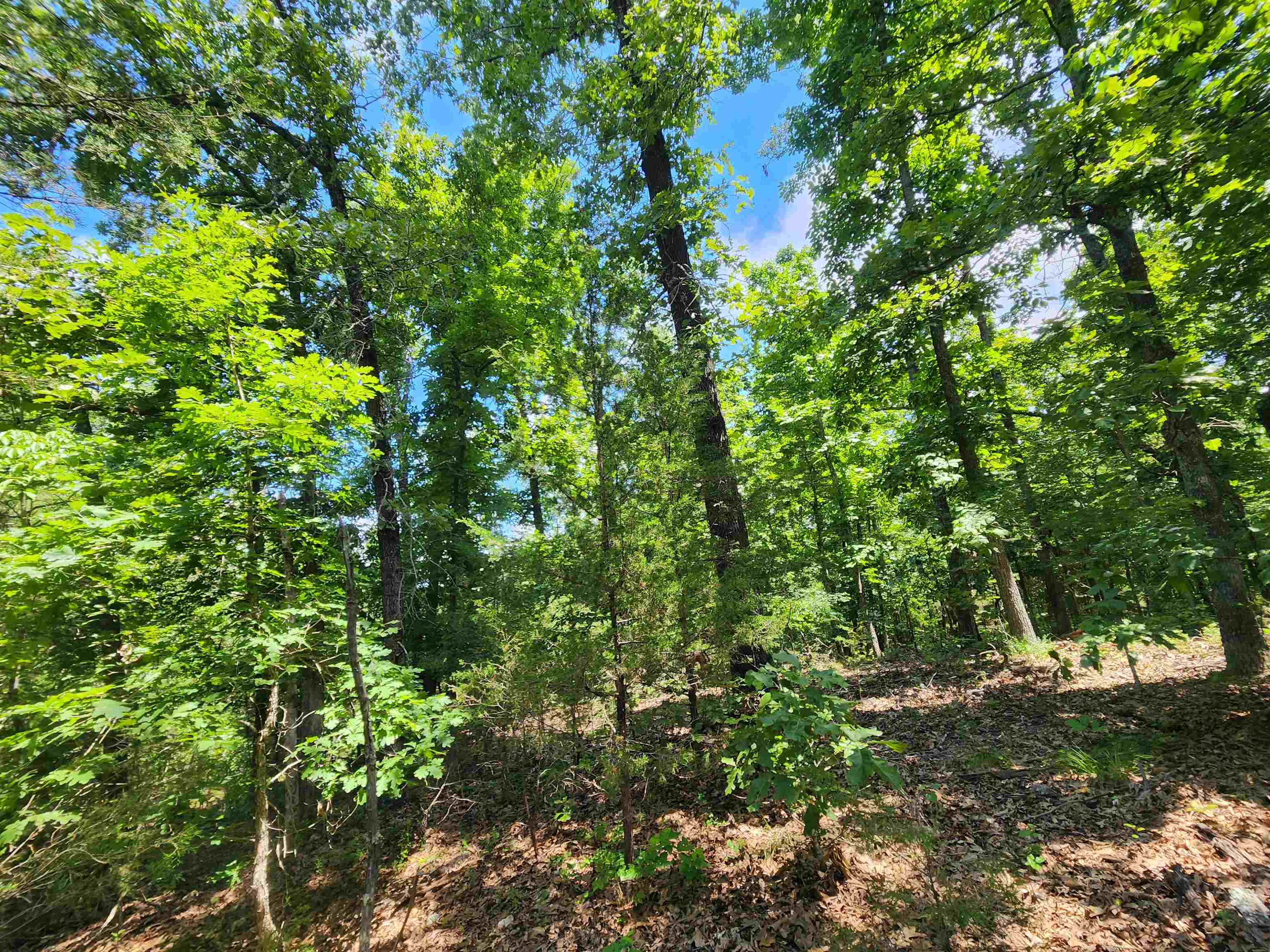 Photo 13 - Vacant Land for sale – L10B9  Quarez   Cherokee Village, AR
