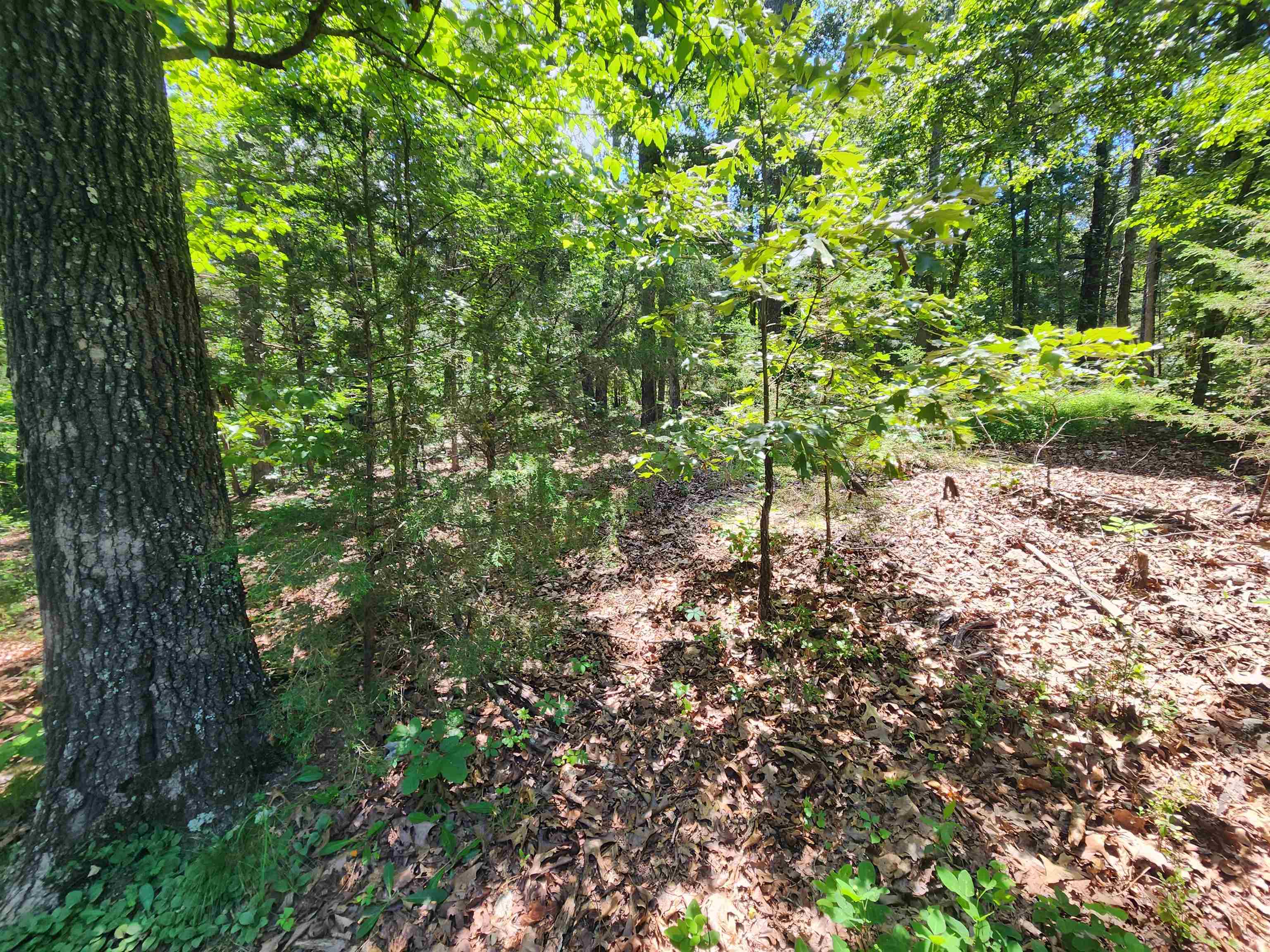 Photo 14 - Vacant Land for sale – L10B9  Quarez   Cherokee Village, AR