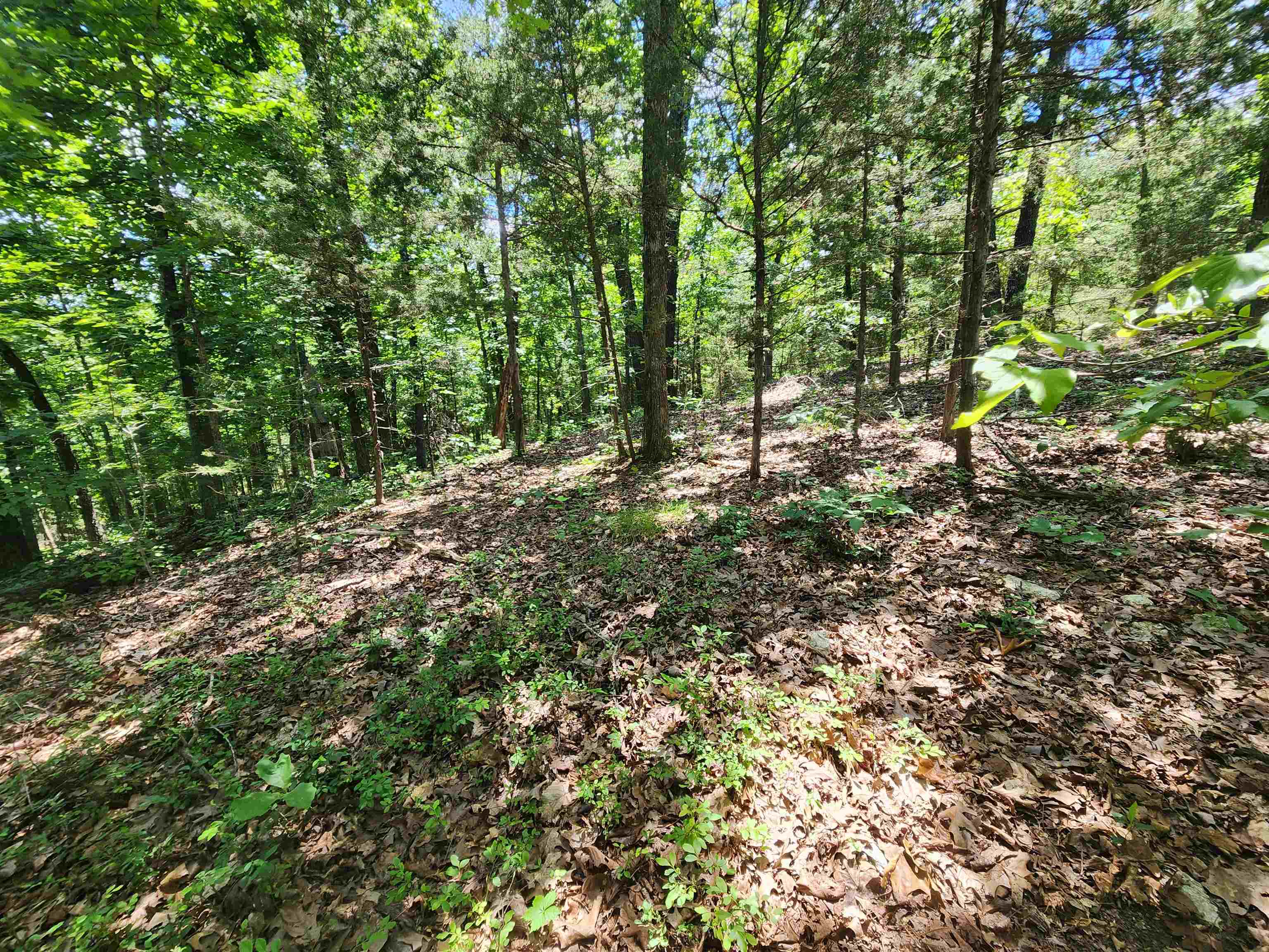 Photo 15 - Vacant Land for sale – L10B9  Quarez   Cherokee Village, AR