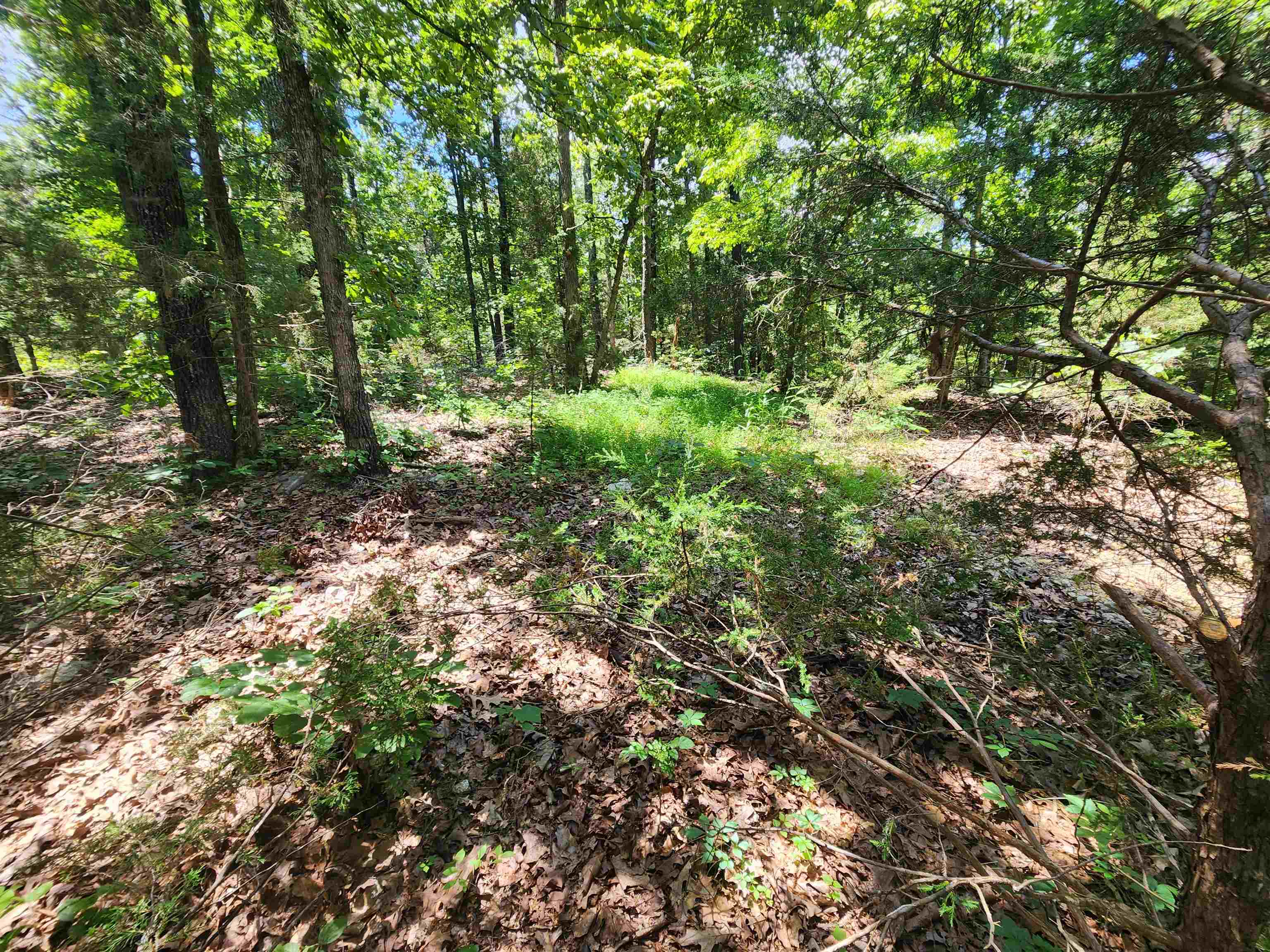 Photo 16 - Vacant Land for sale – L10B9  Quarez   Cherokee Village, AR