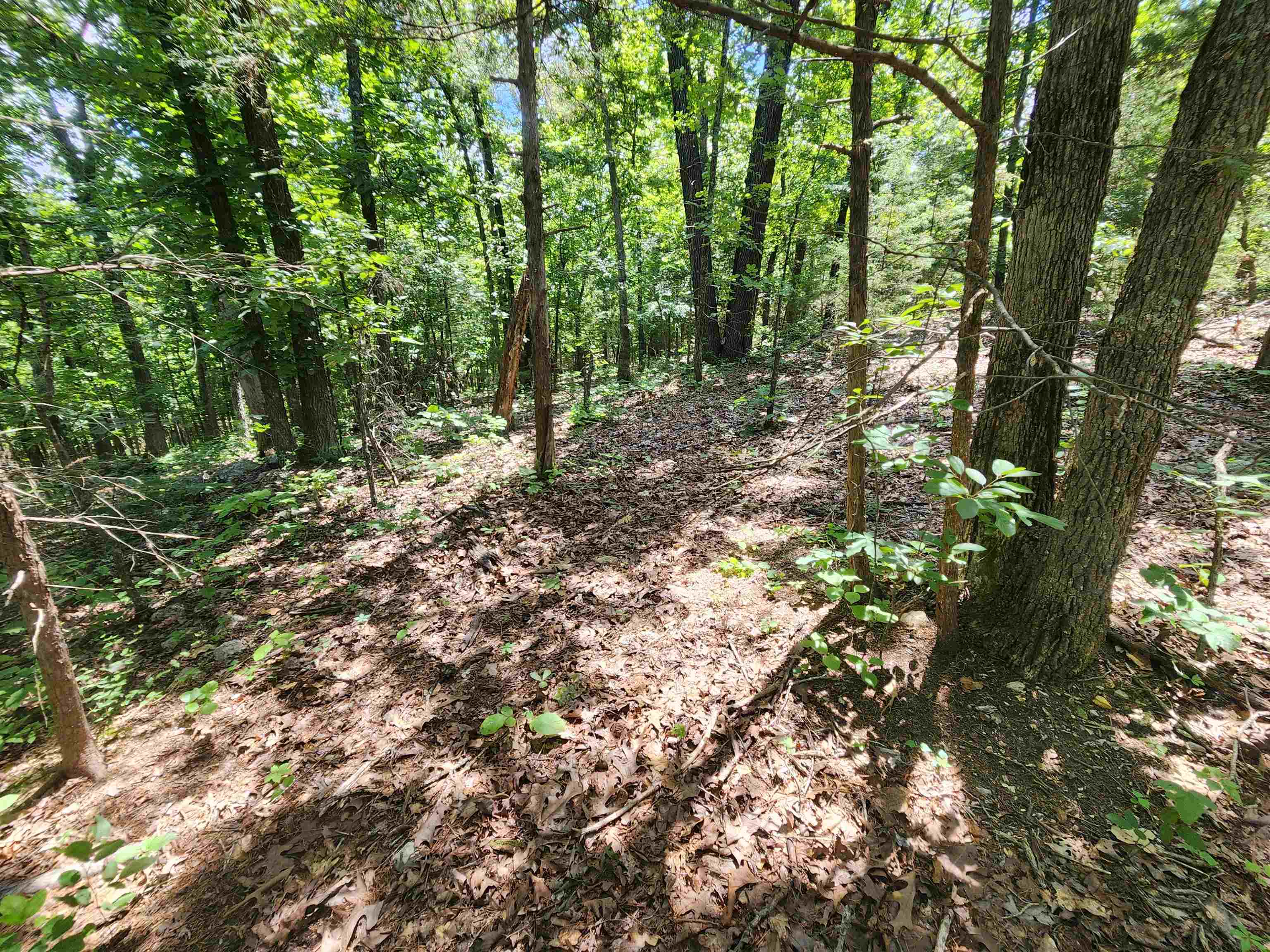 Photo 17 - Vacant Land for sale – L10B9  Quarez   Cherokee Village, AR